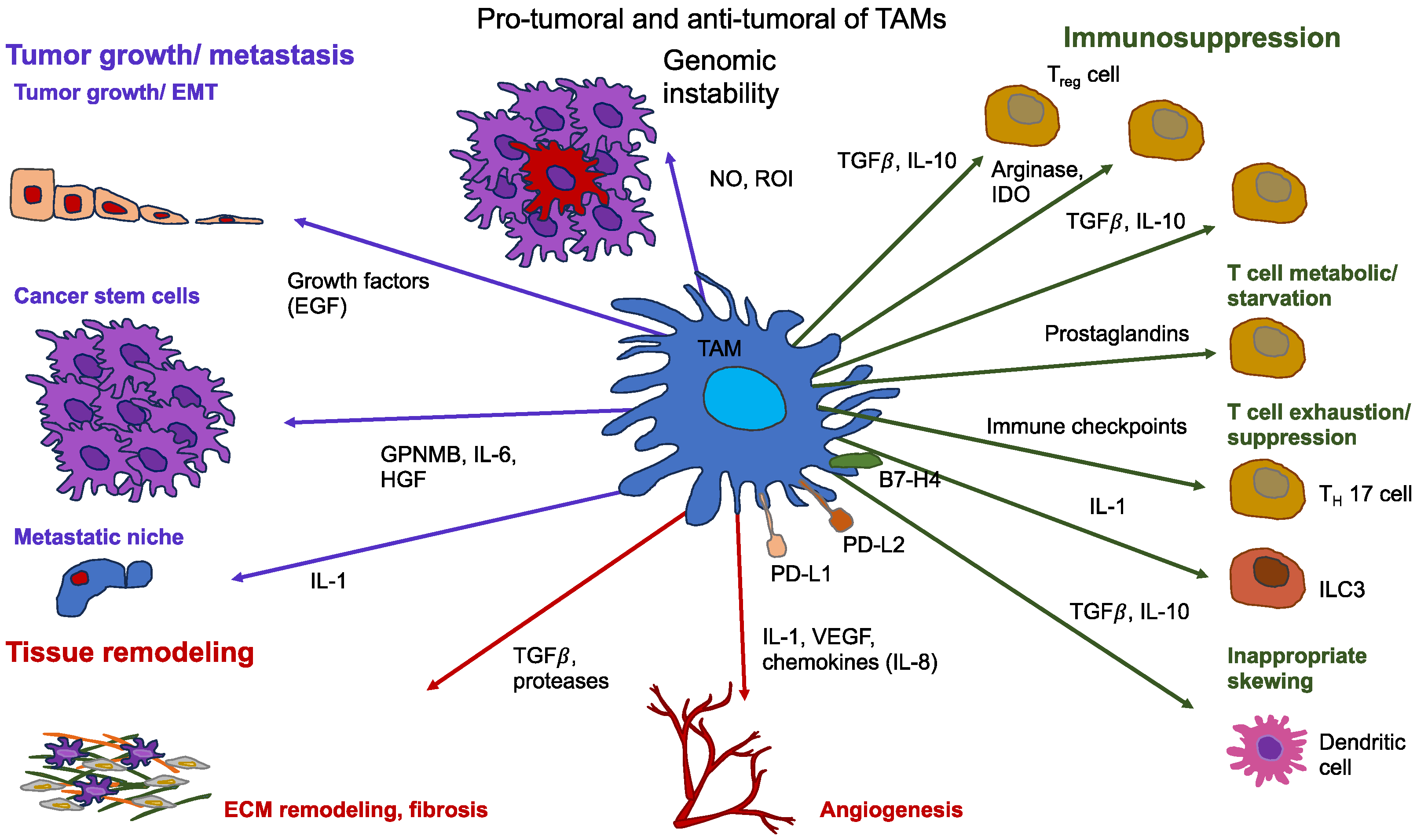 Biomolecules 14 00184 g009 Biomolecules 14 00184 g009