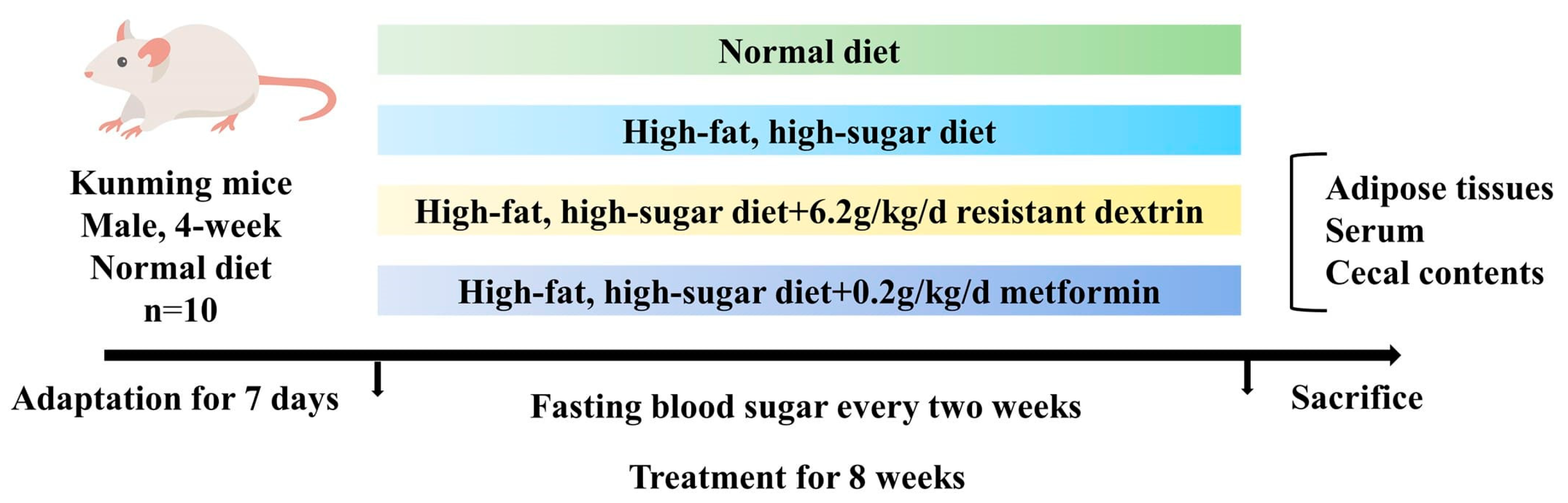 Biomolecules 14 00186 g001