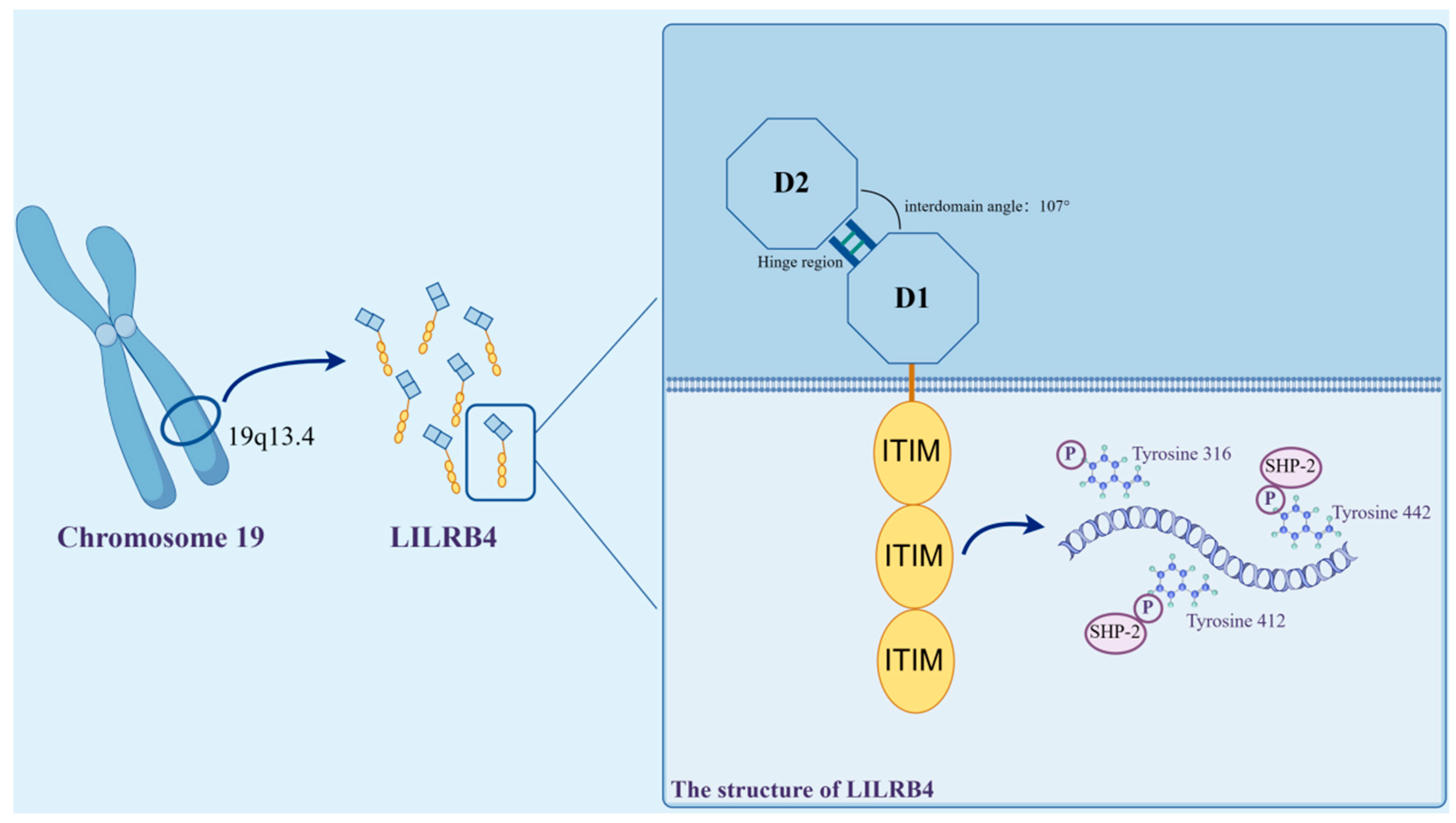 Biomolecules 14 00187 g002
