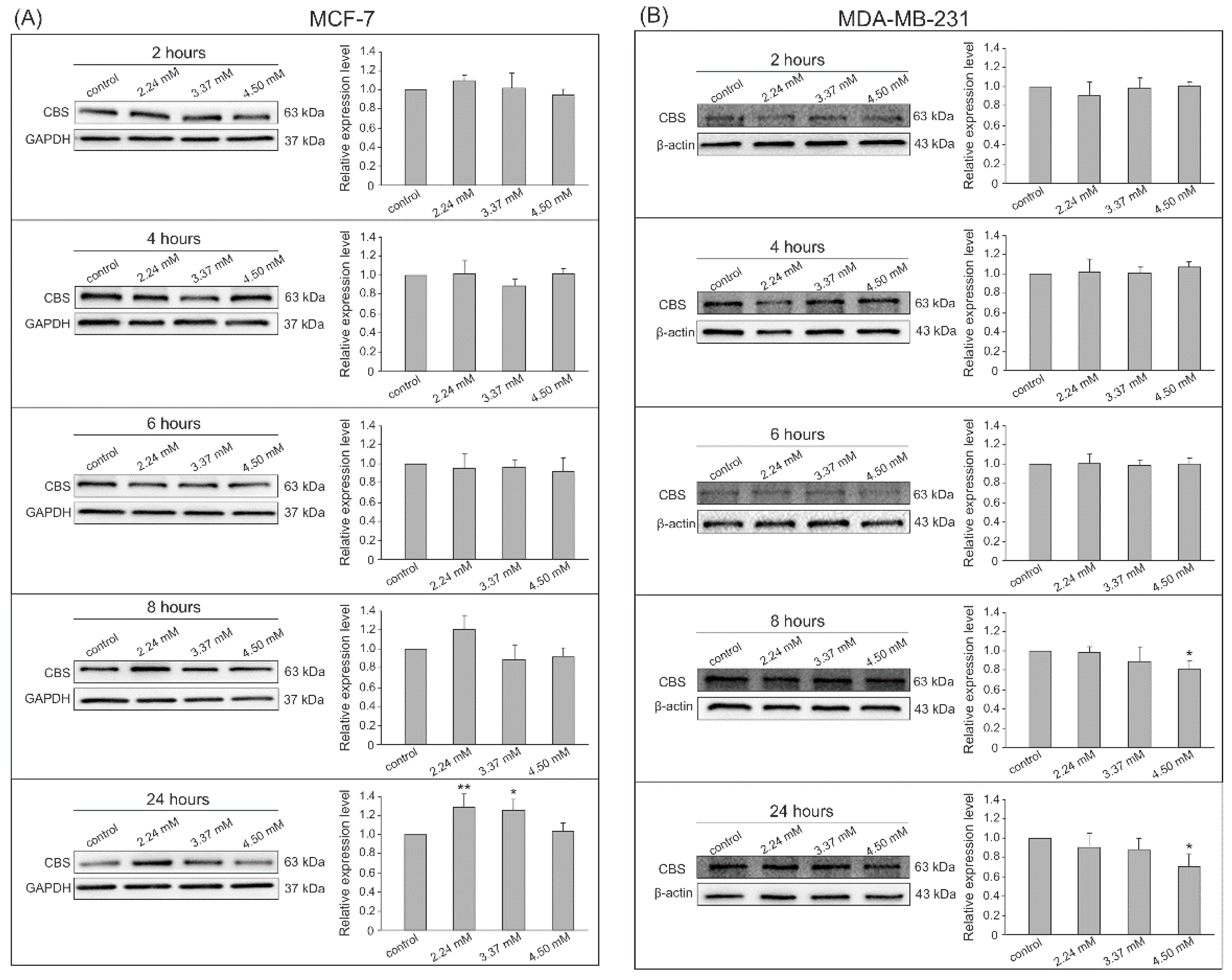 Biomolecules 14 00188 g005