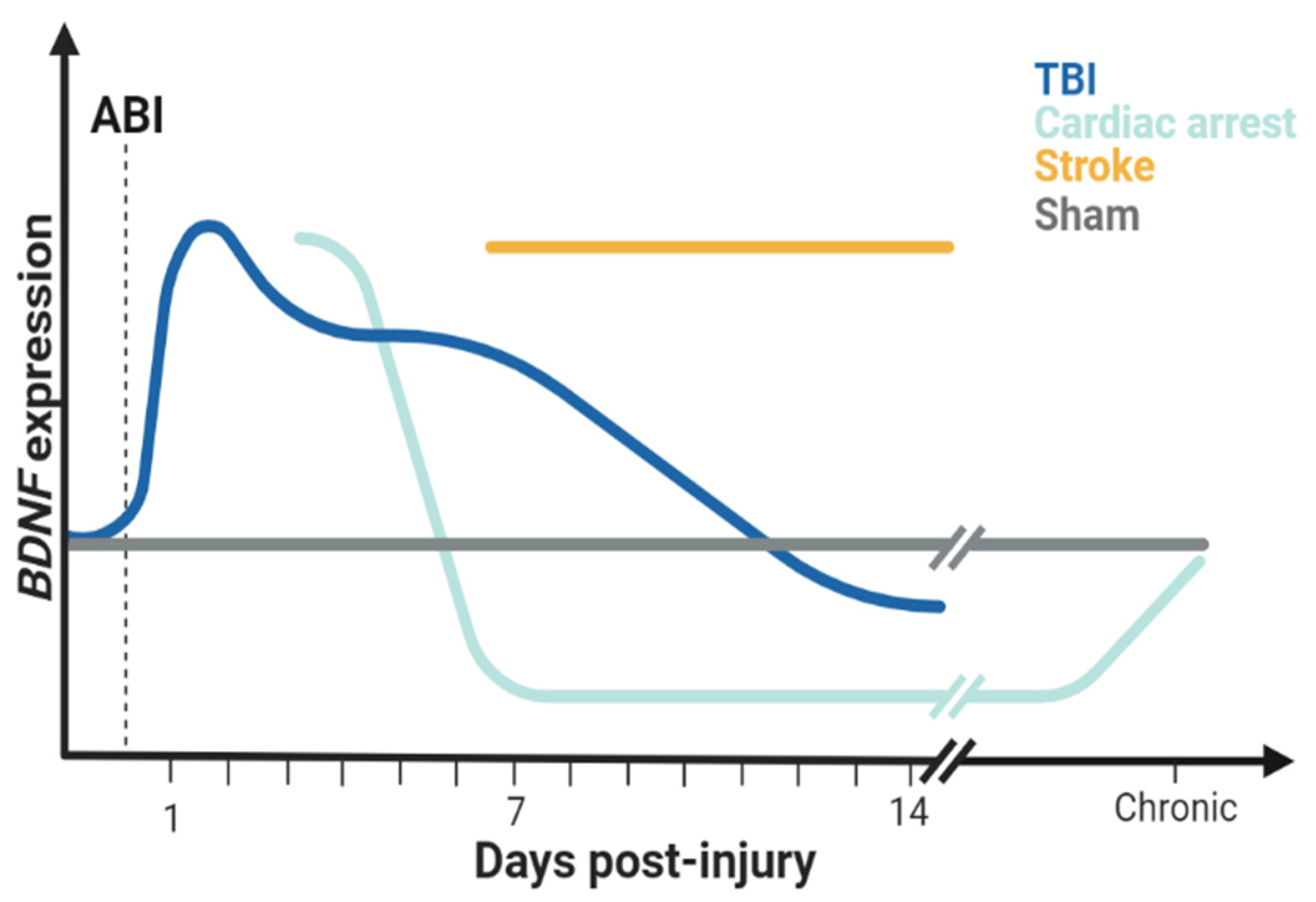 Biomolecules 14 00191 g001 Biomolecules 14 00191 g001