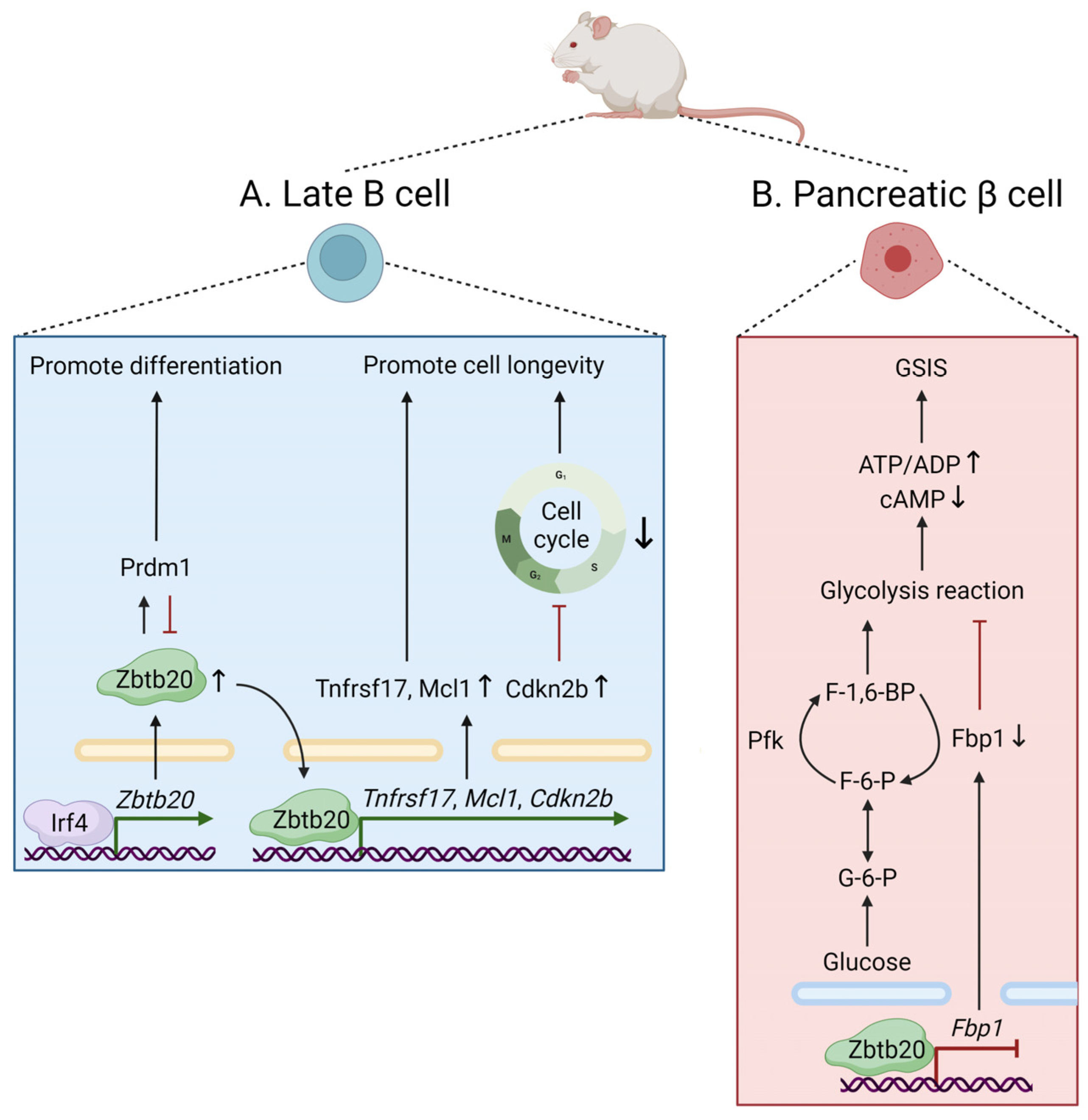 Biomolecules 14 00192 g002