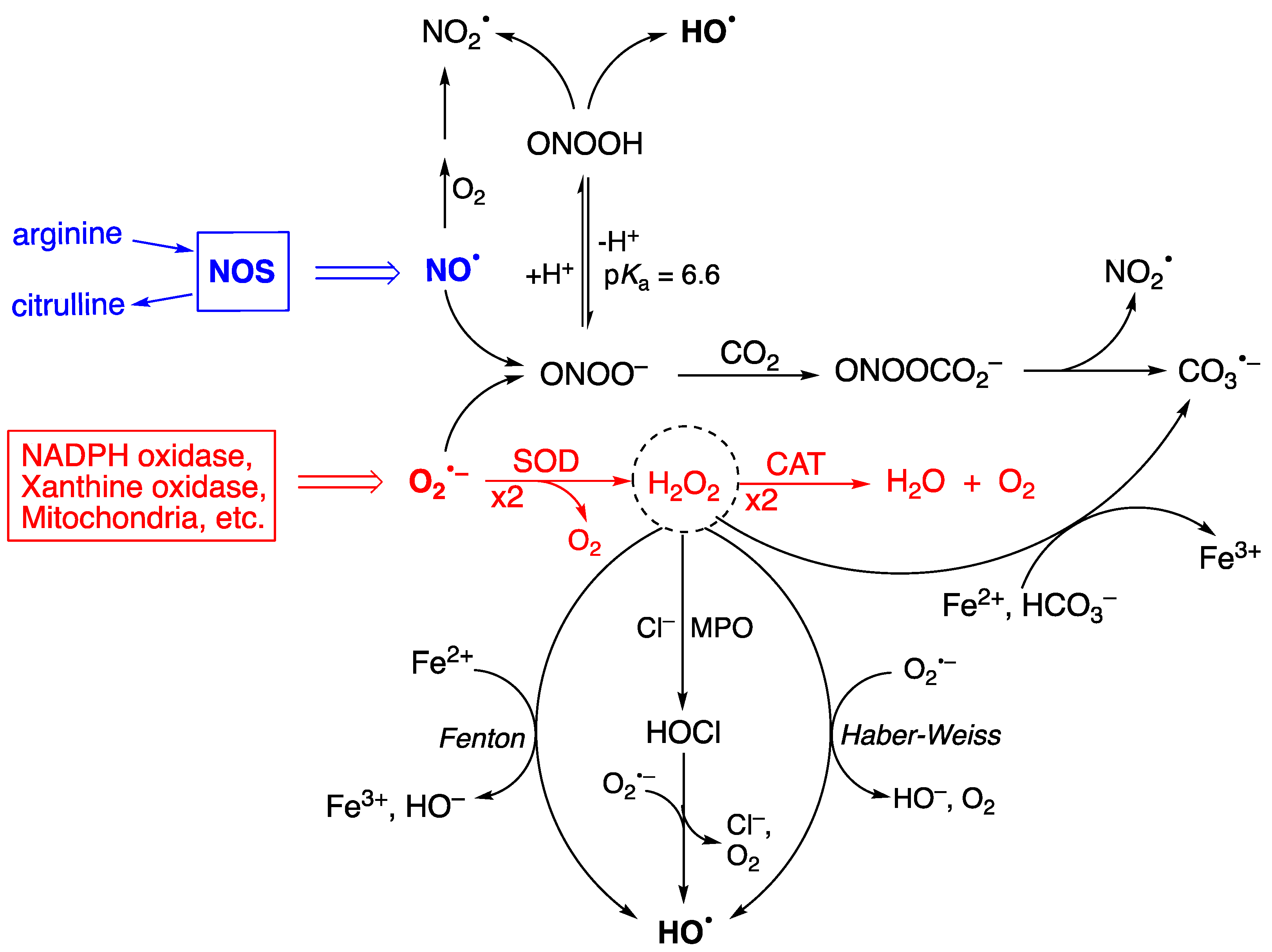 Biomolecules 14 00194 g001