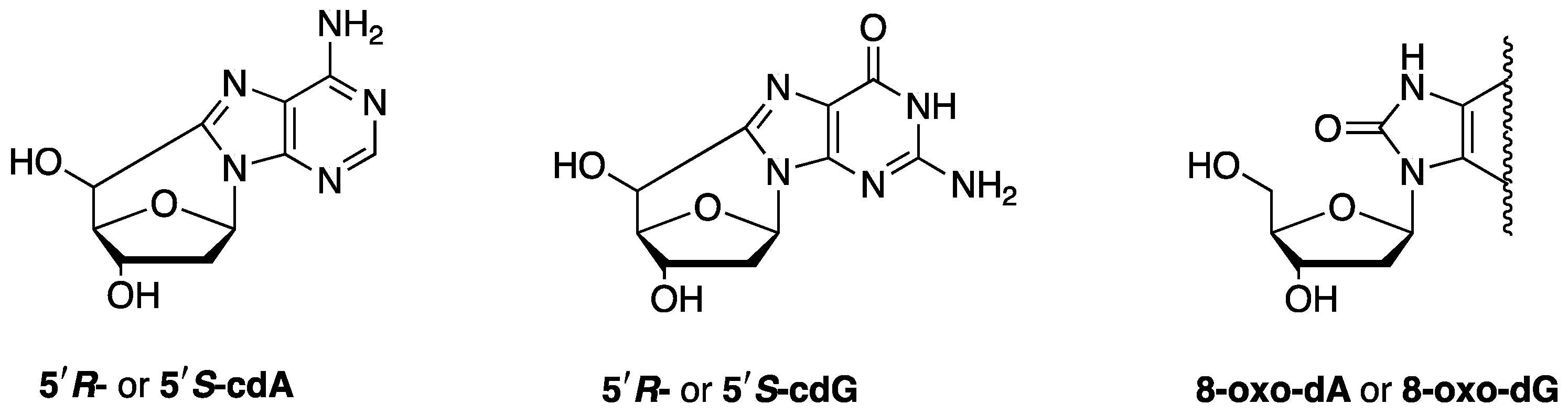 Biomolecules 14 00194 g004