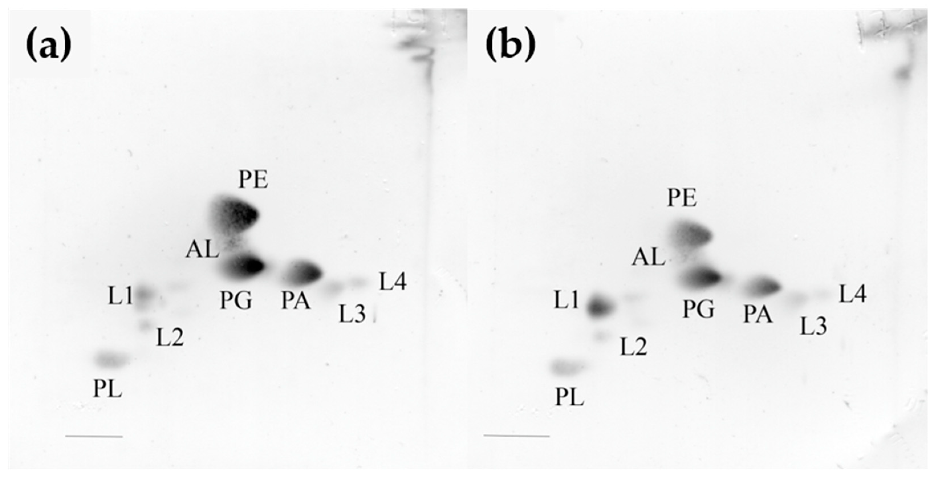 Biomolecules 14 00196 g001