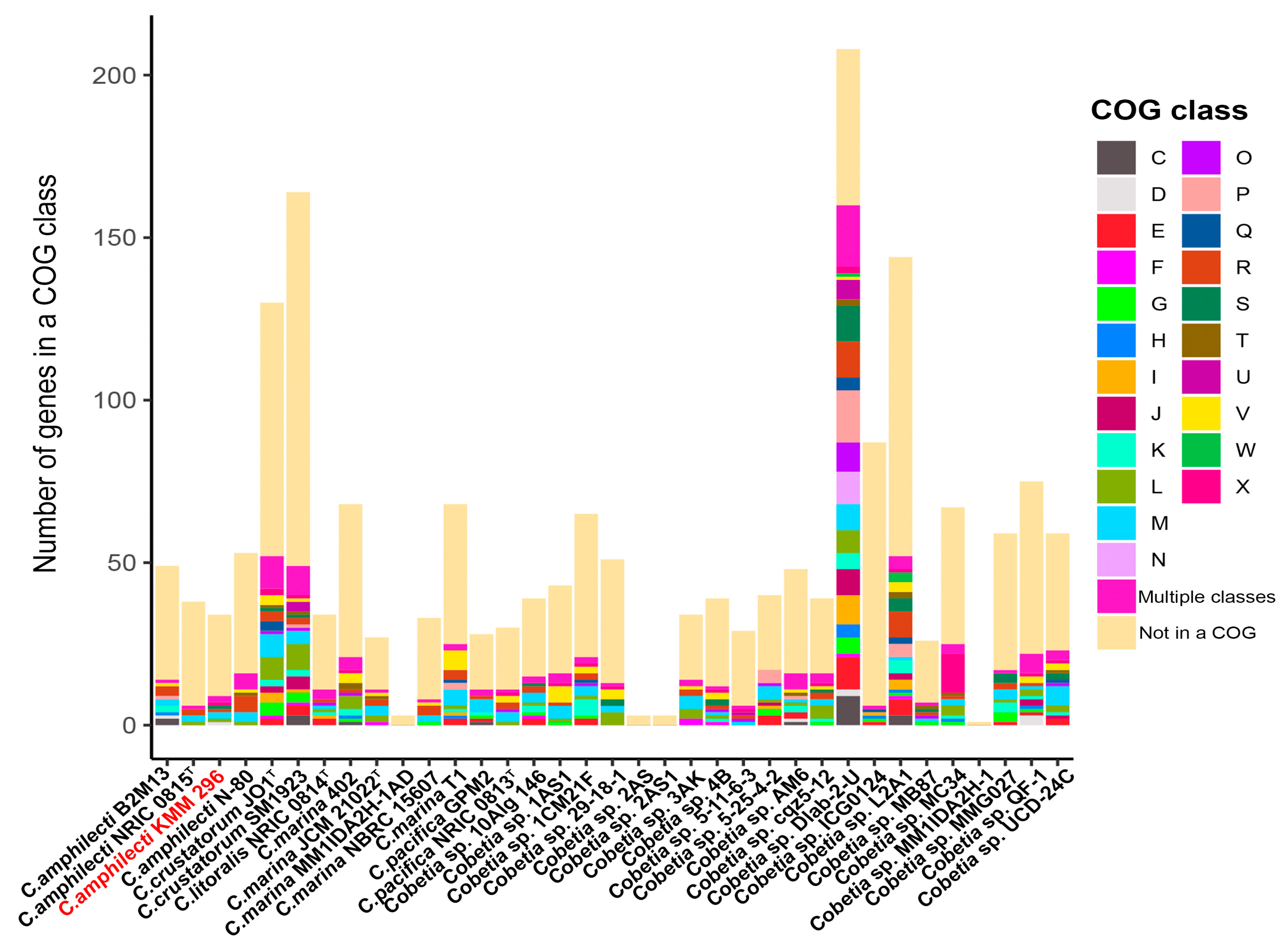 Biomolecules 14 00196 g004