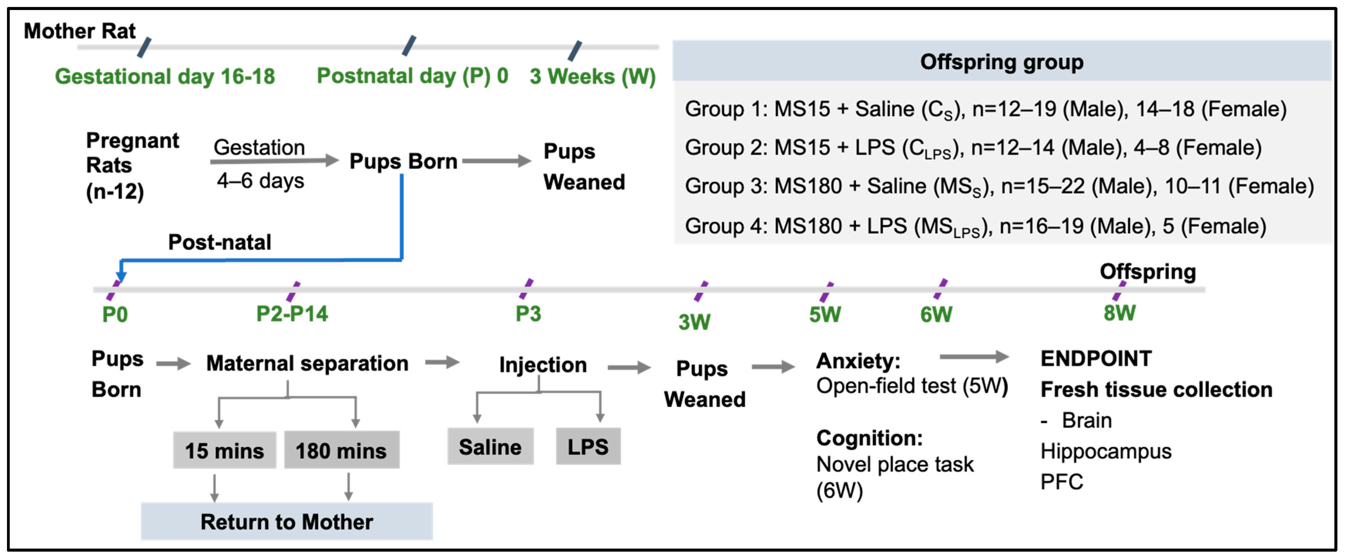 Biomolecules 14 00197 g001