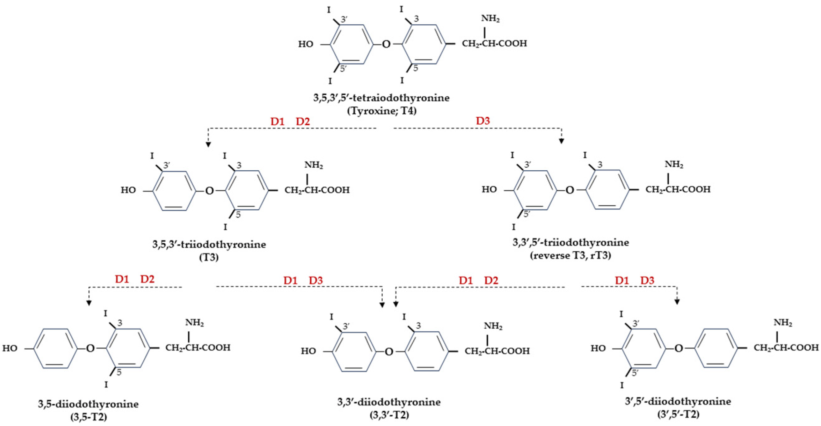 Biomolecules 14 00198 g001 Biomolecules 14 00198 g001