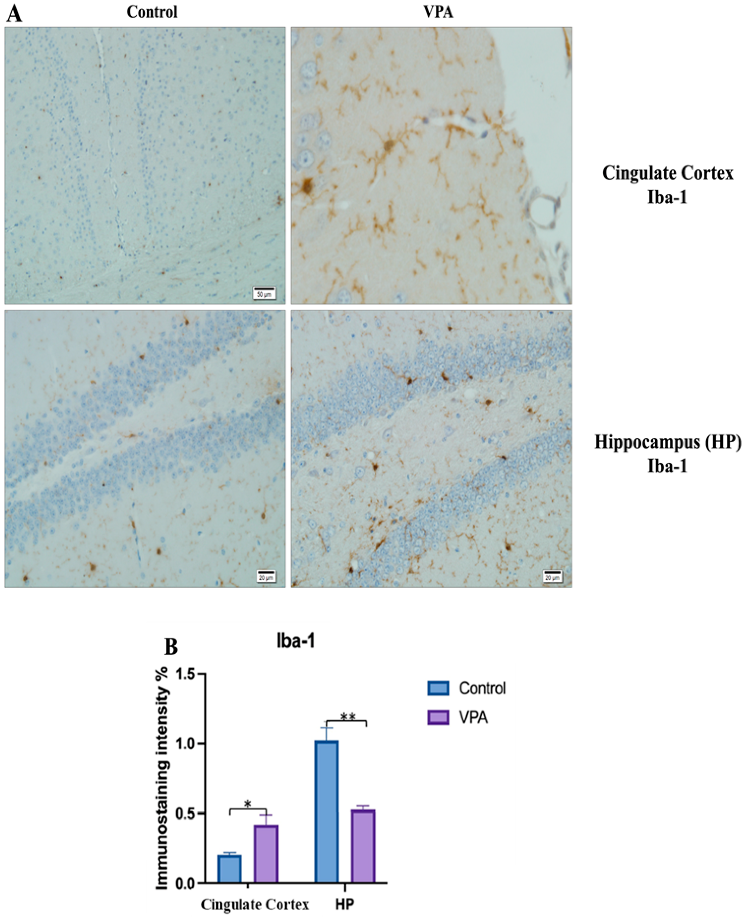 Biomolecules 14 00201 g010