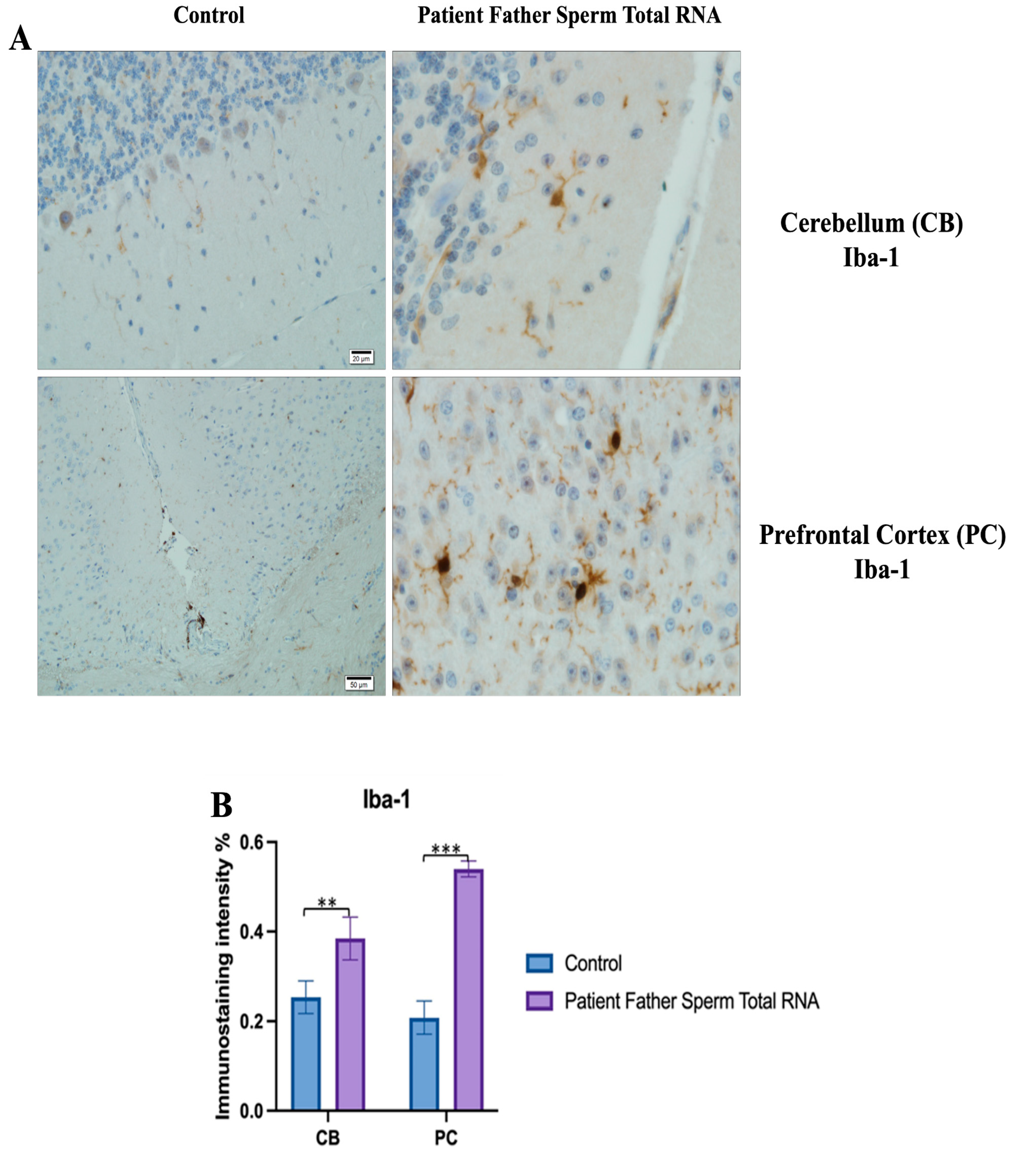 Biomolecules 14 00201 g011