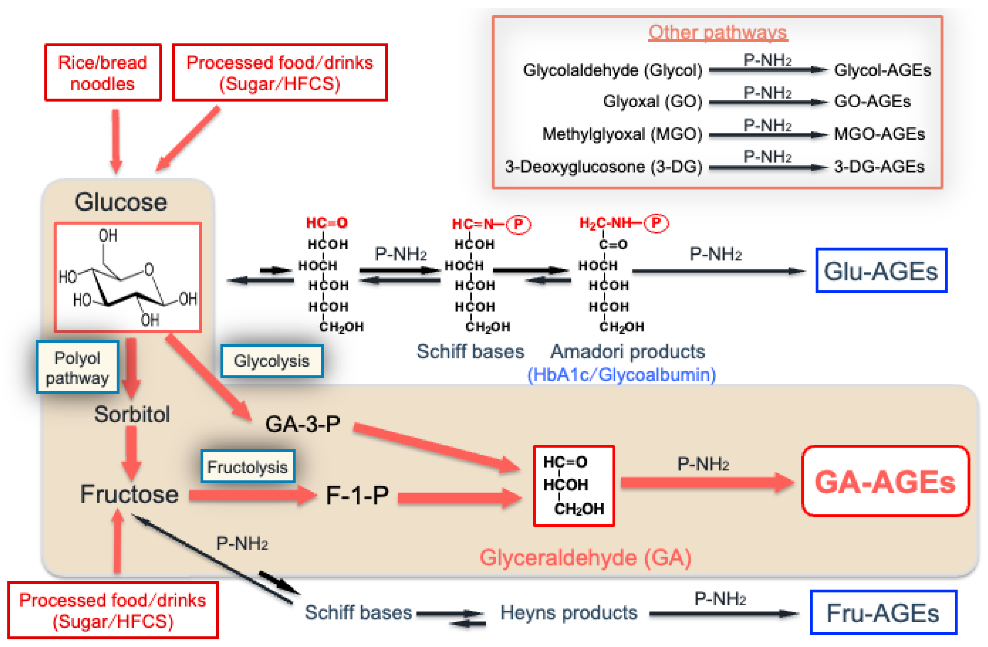 Biomolecules 14 00202 g001 Biomolecules 14 00202 g001
