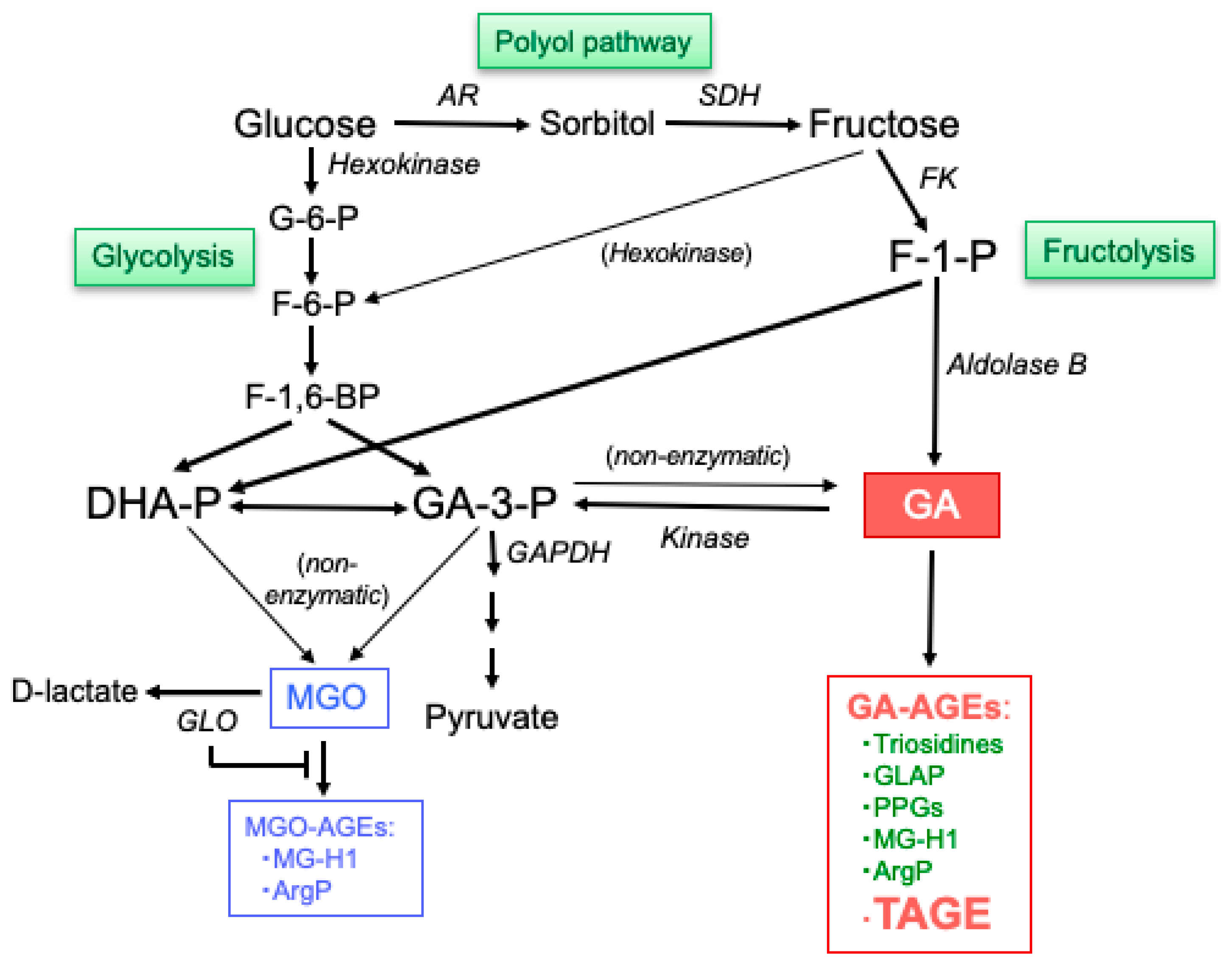 Biomolecules 14 00202 g002 Biomolecules 14 00202 g002