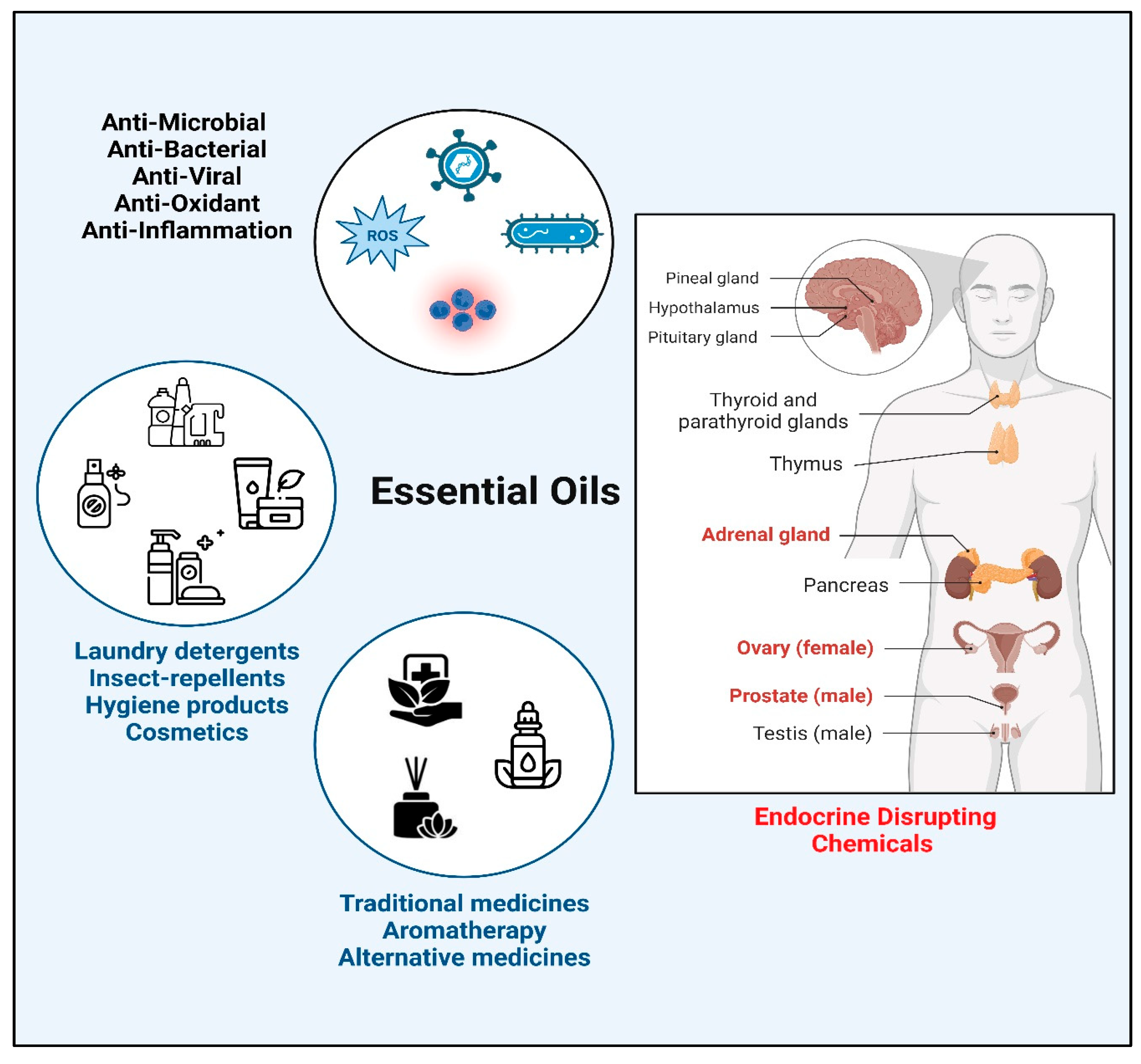 Biomolecules 14 00203 g001