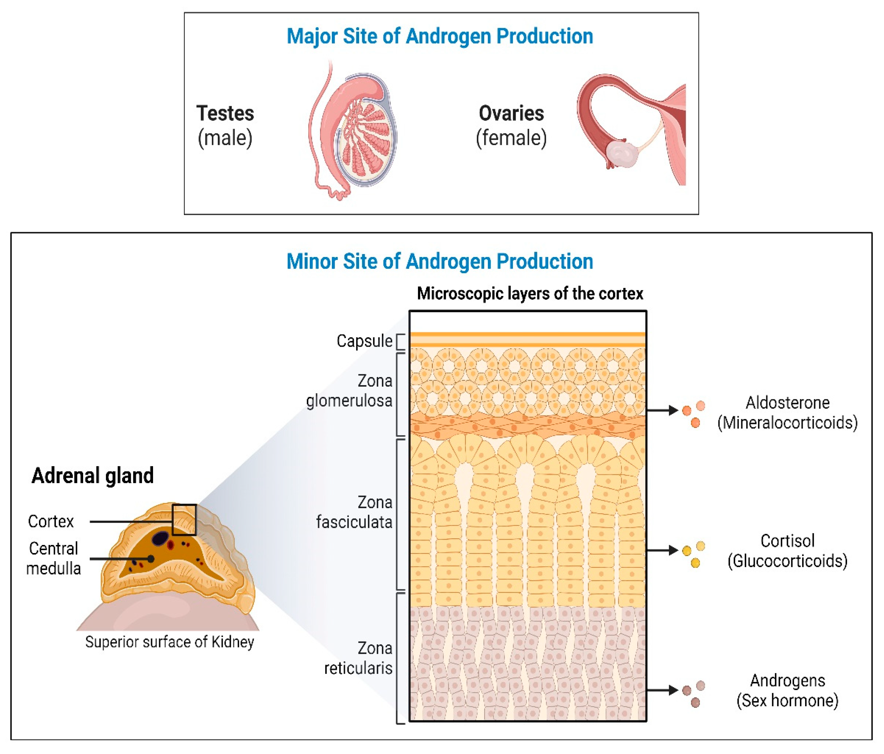 Biomolecules 14 00203 g002