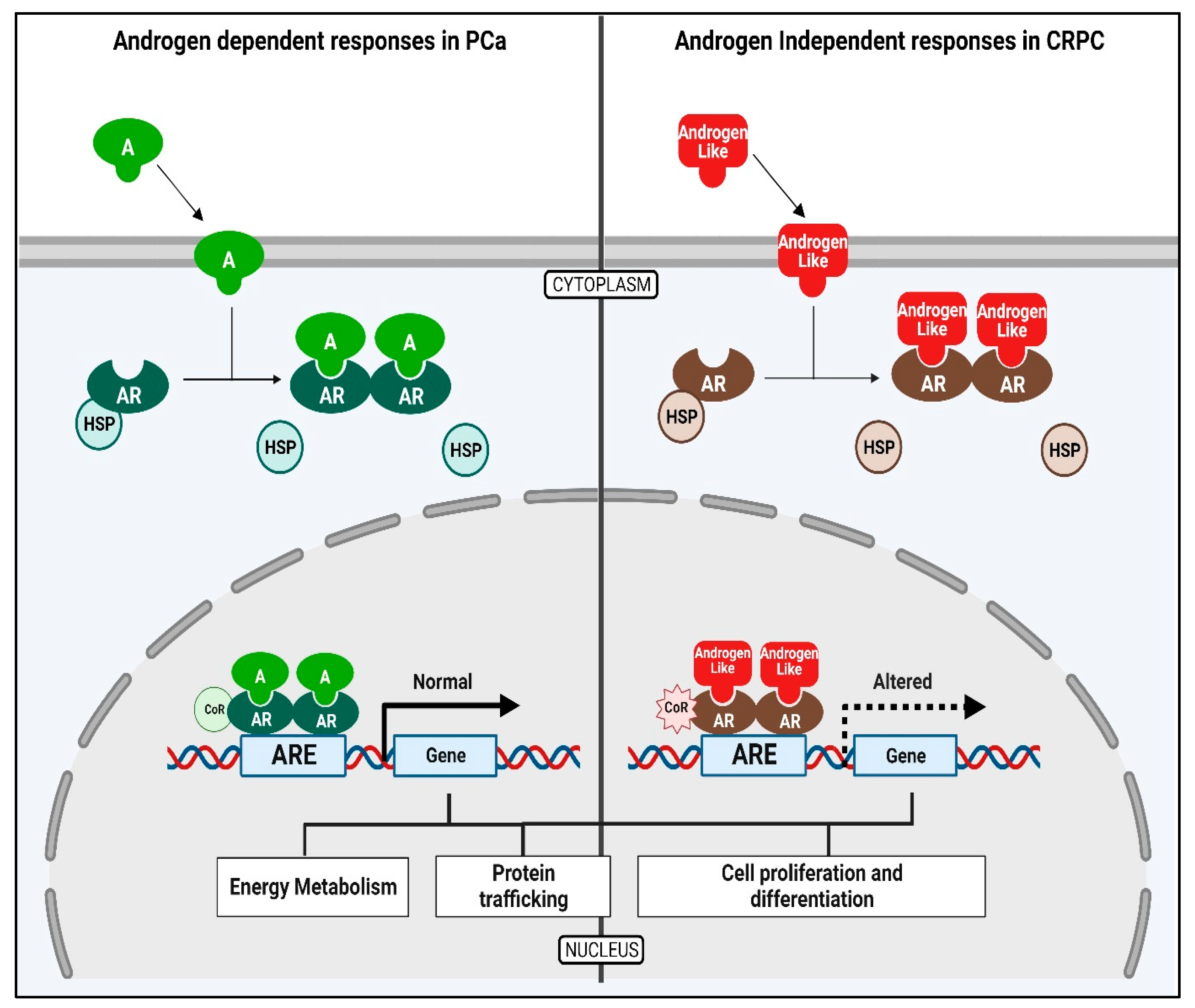 Biomolecules 14 00203 g003