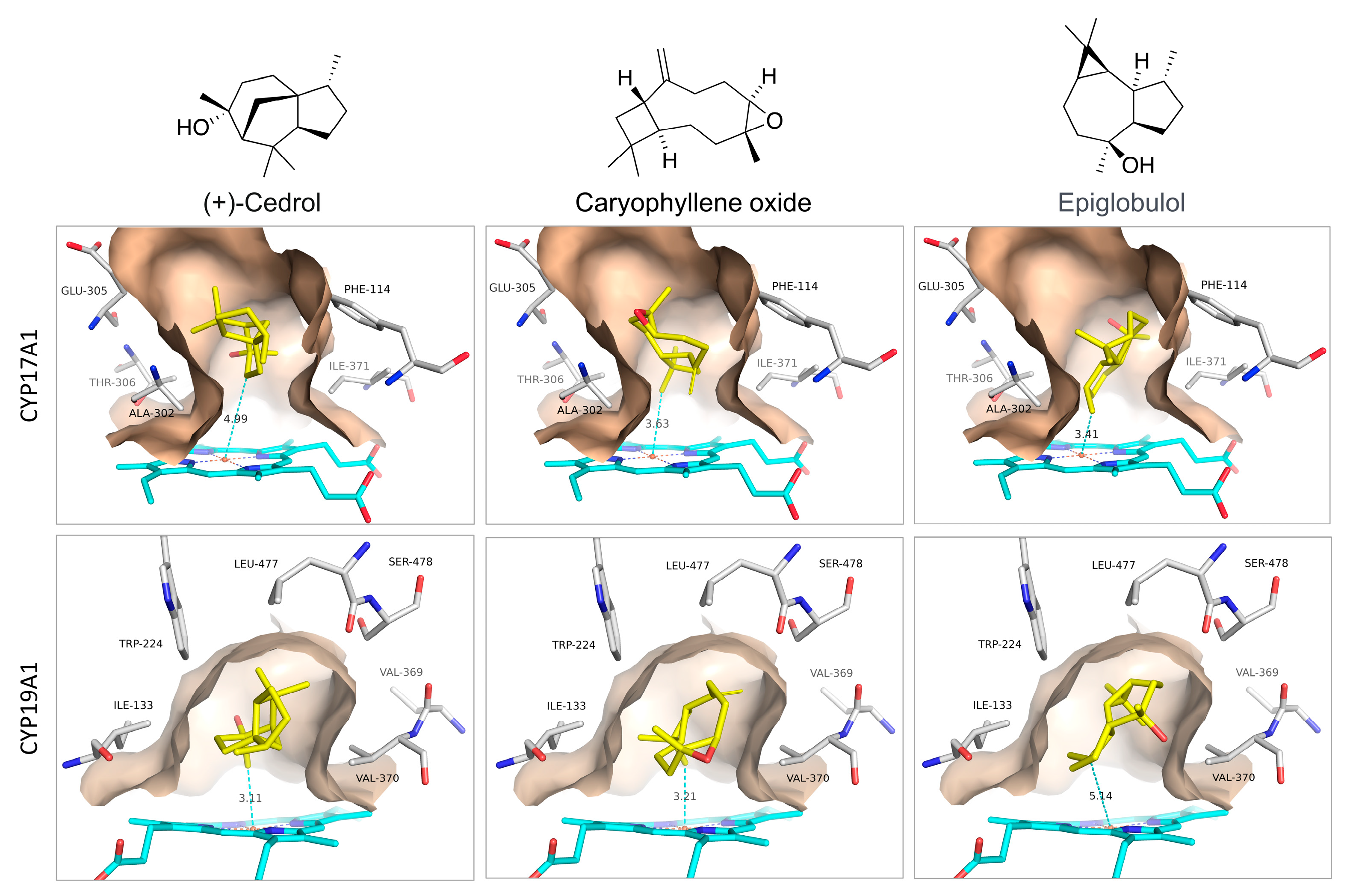 Biomolecules 14 00203 g005
