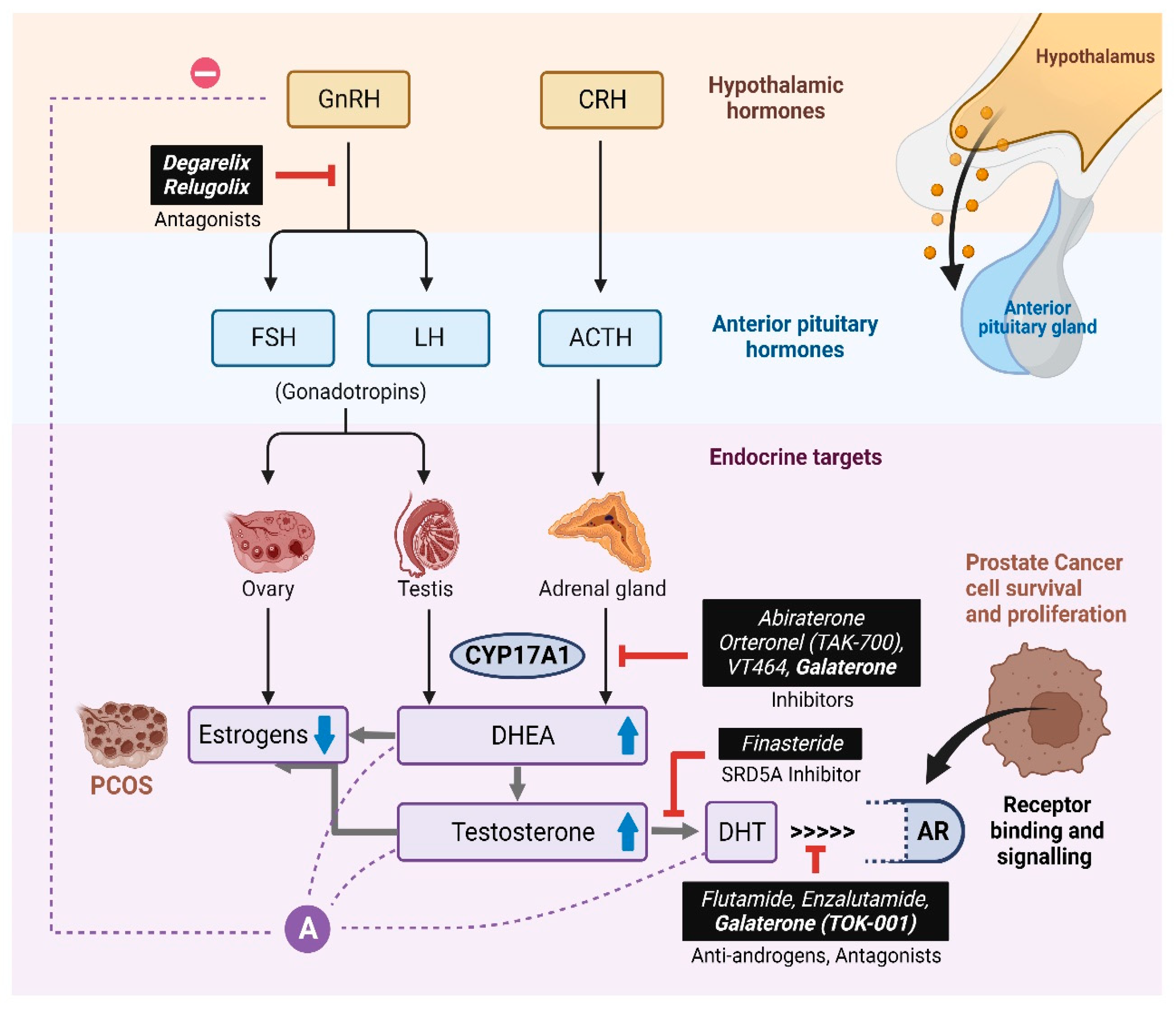 Biomolecules 14 00203 g012