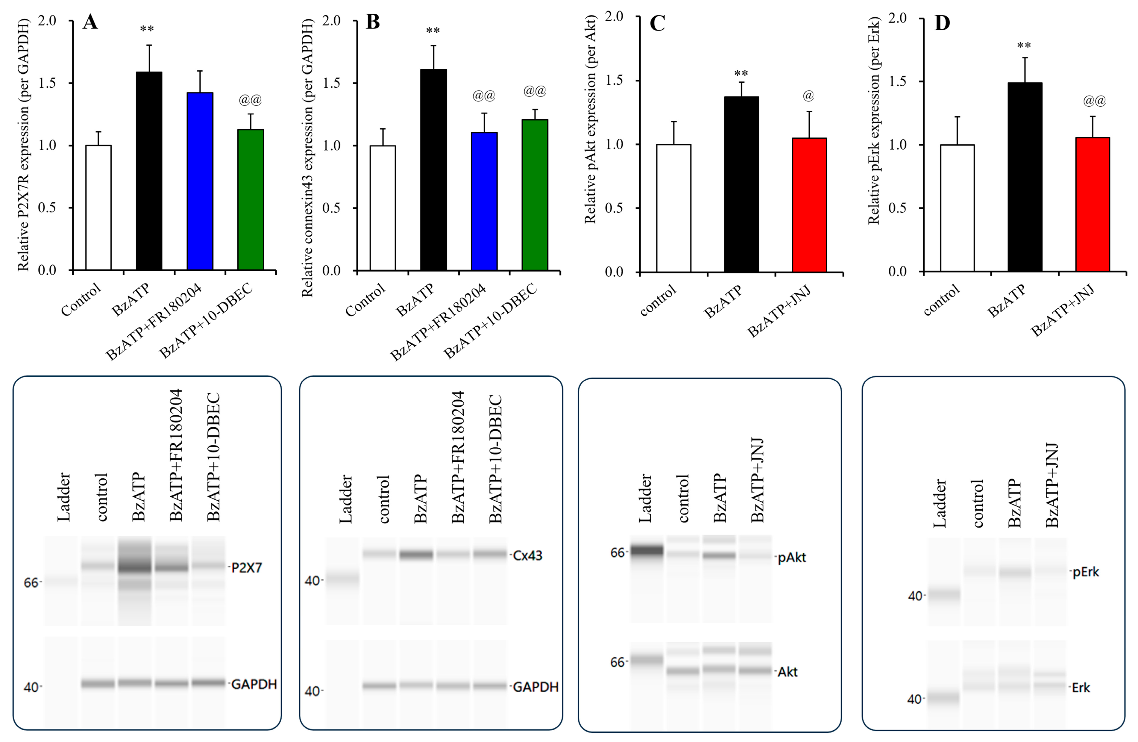 Biomolecules 14 00204 g008 Biomolecules 14 00204 g008