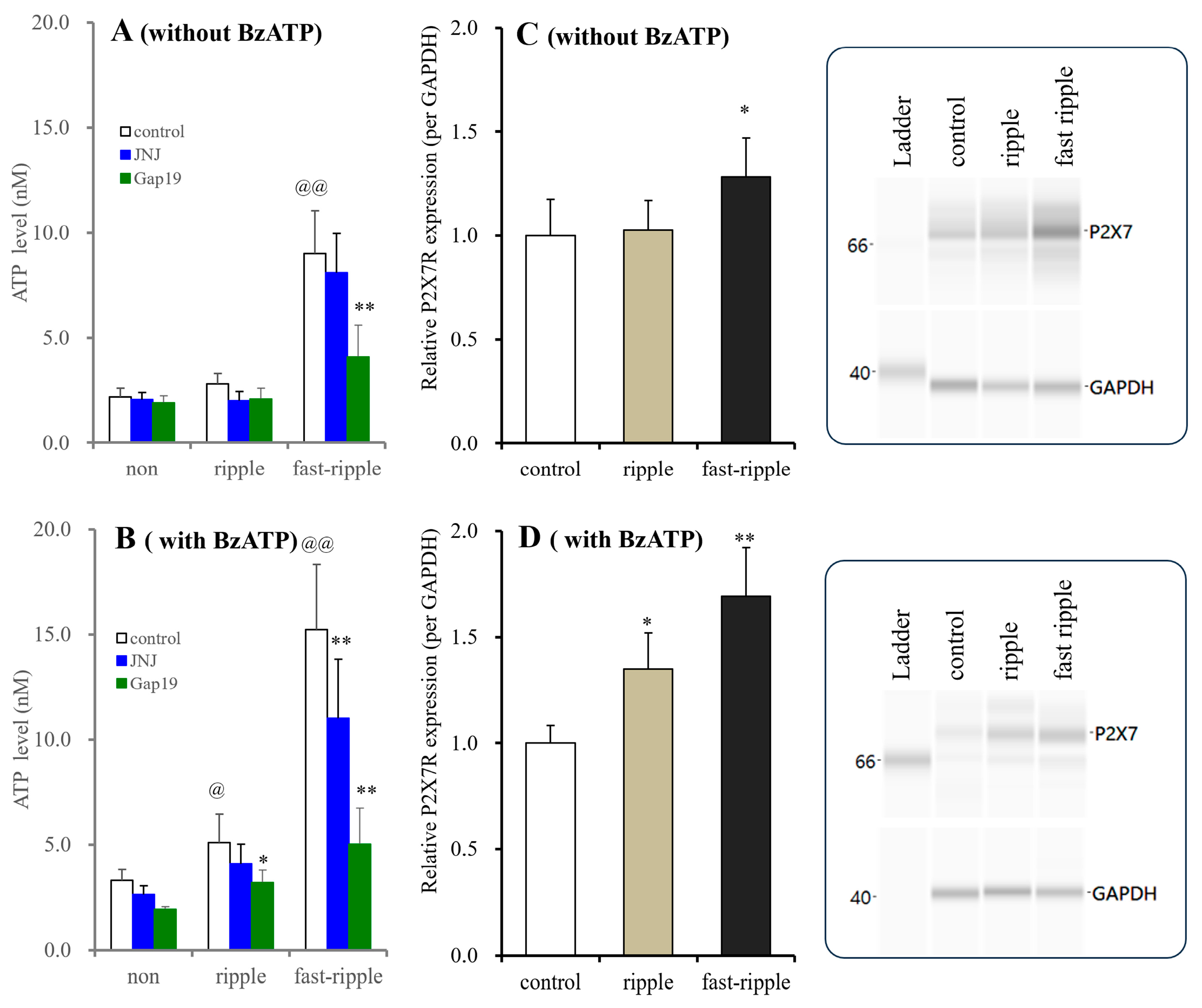 Biomolecules 14 00204 g009 Biomolecules 14 00204 g009
