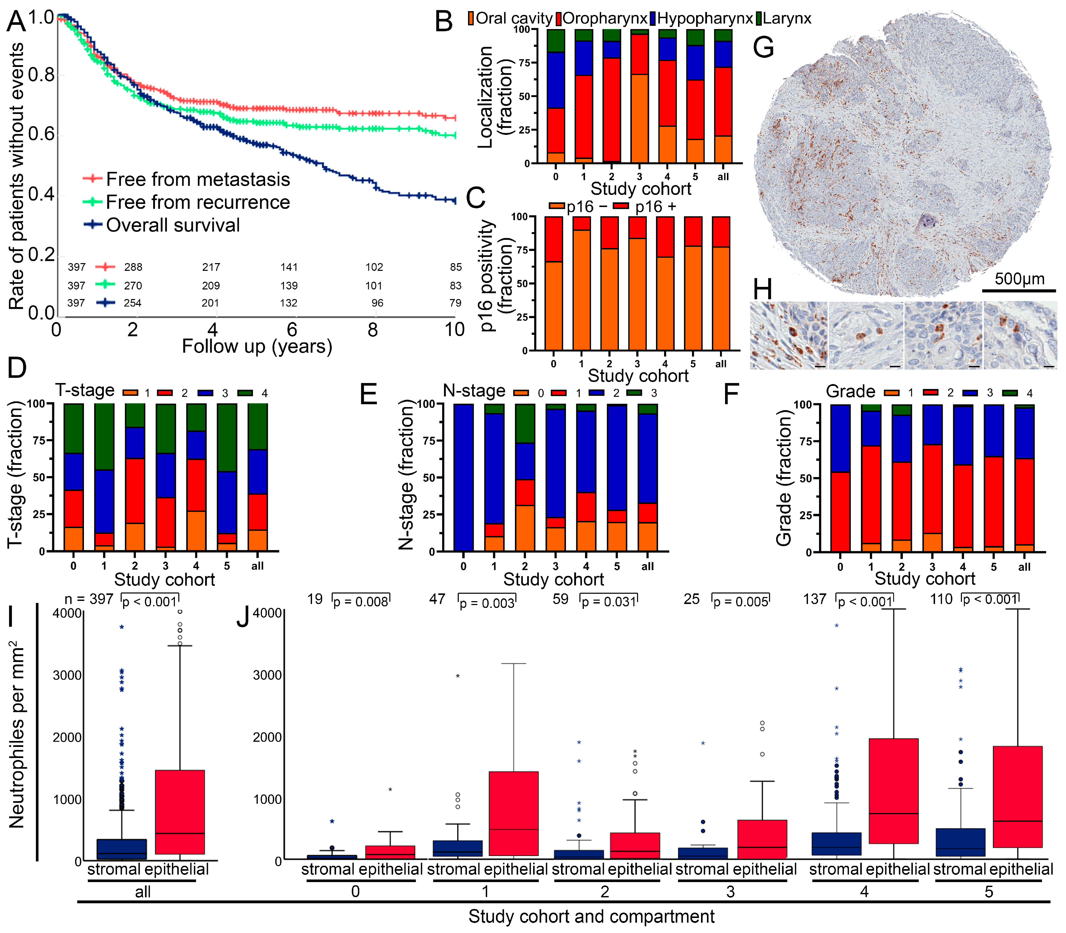 Biomolecules 14 00205 g001