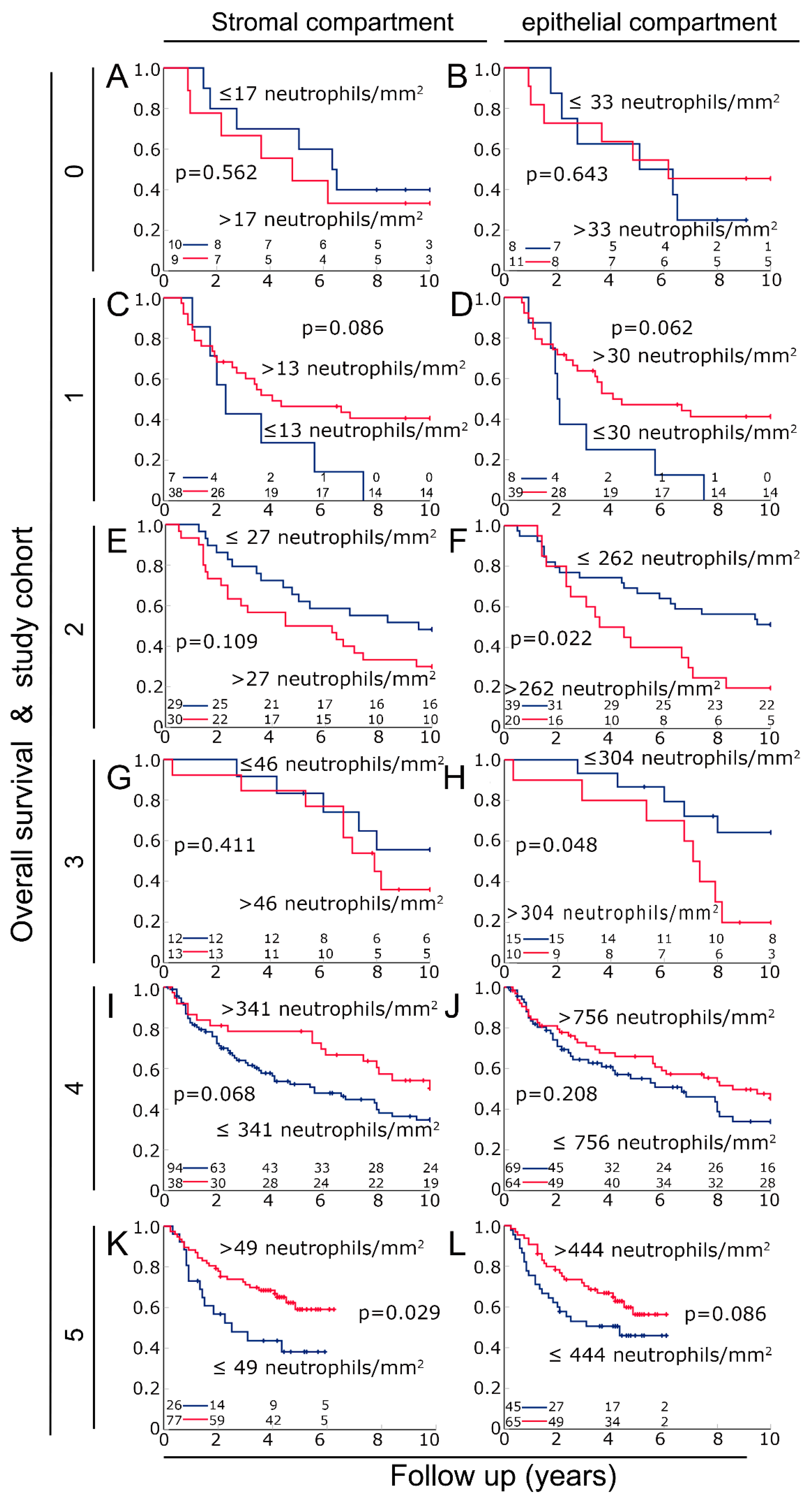 Biomolecules 14 00205 g002