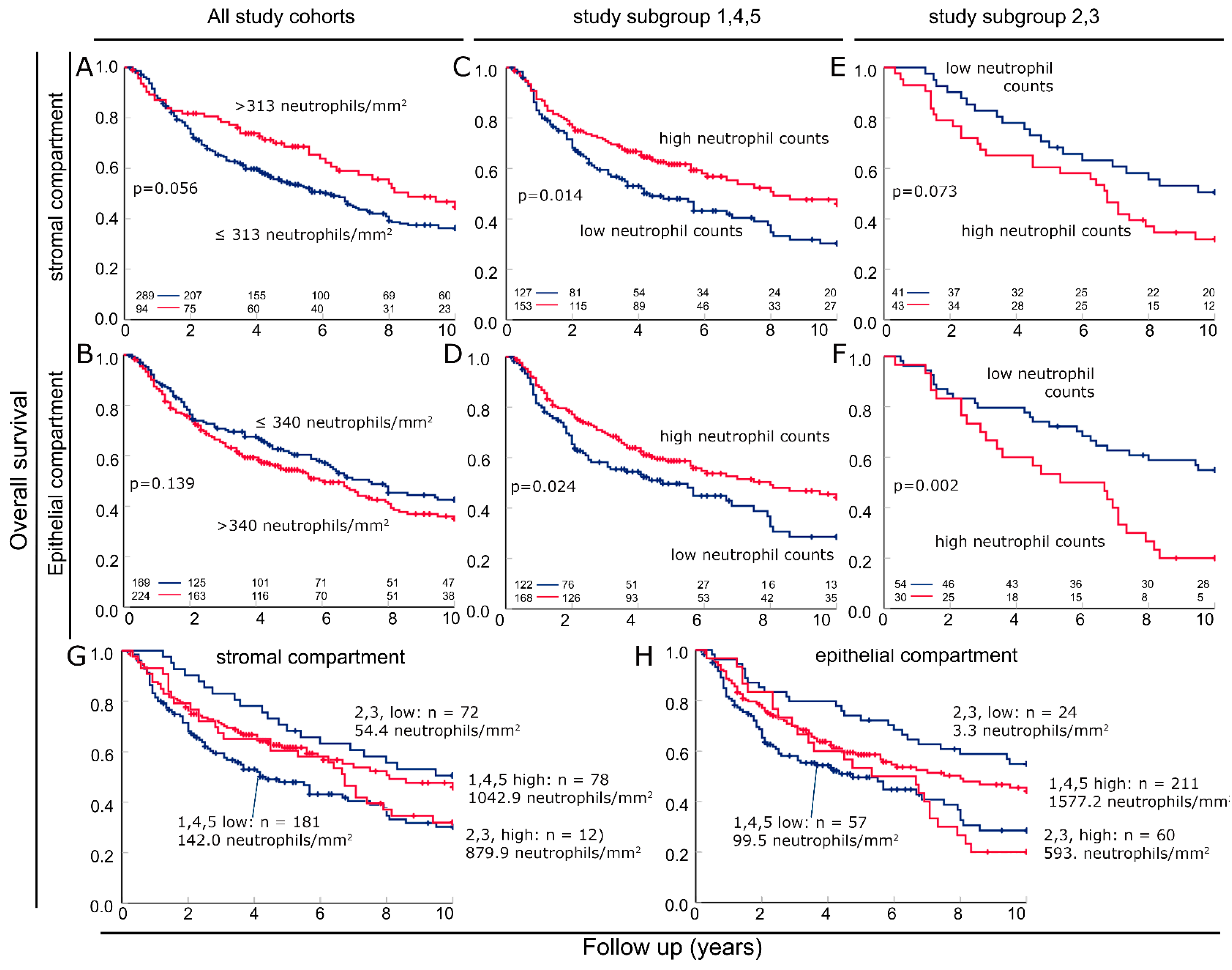 Biomolecules 14 00205 g003