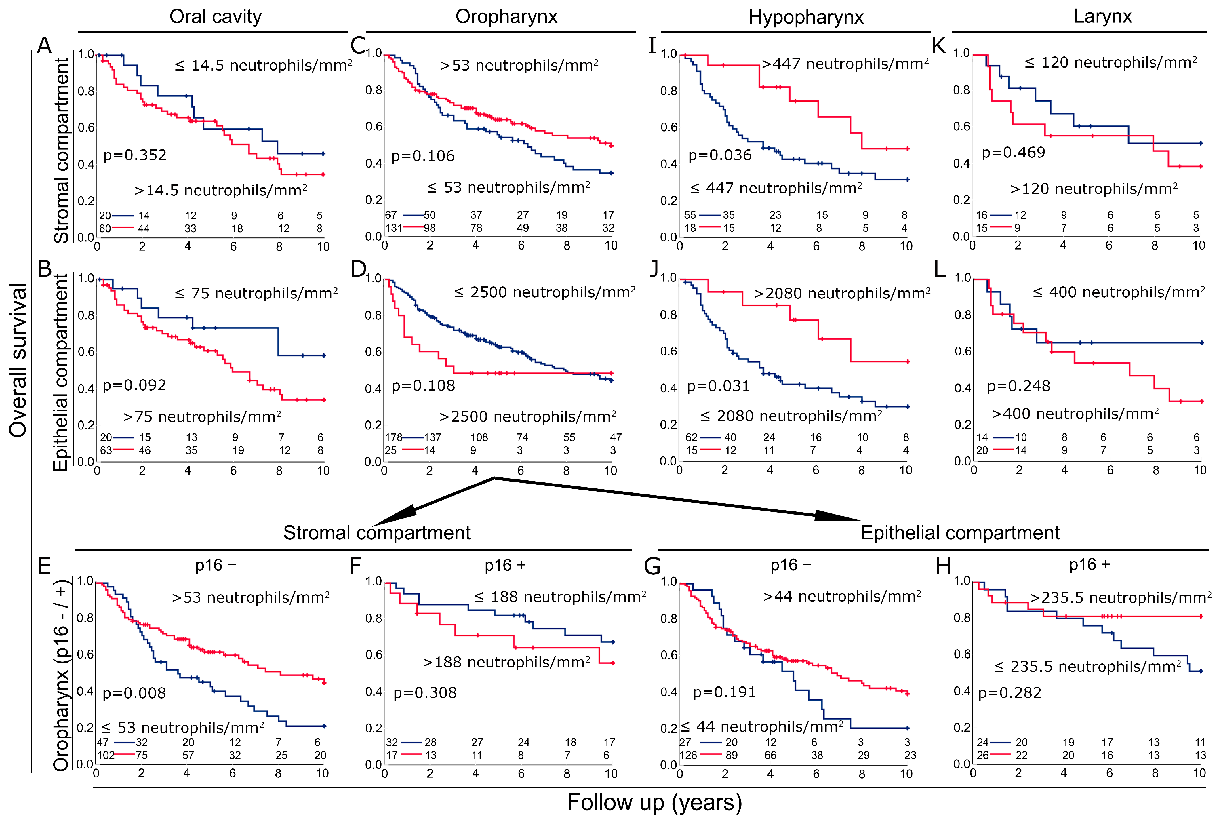 Biomolecules 14 00205 g006