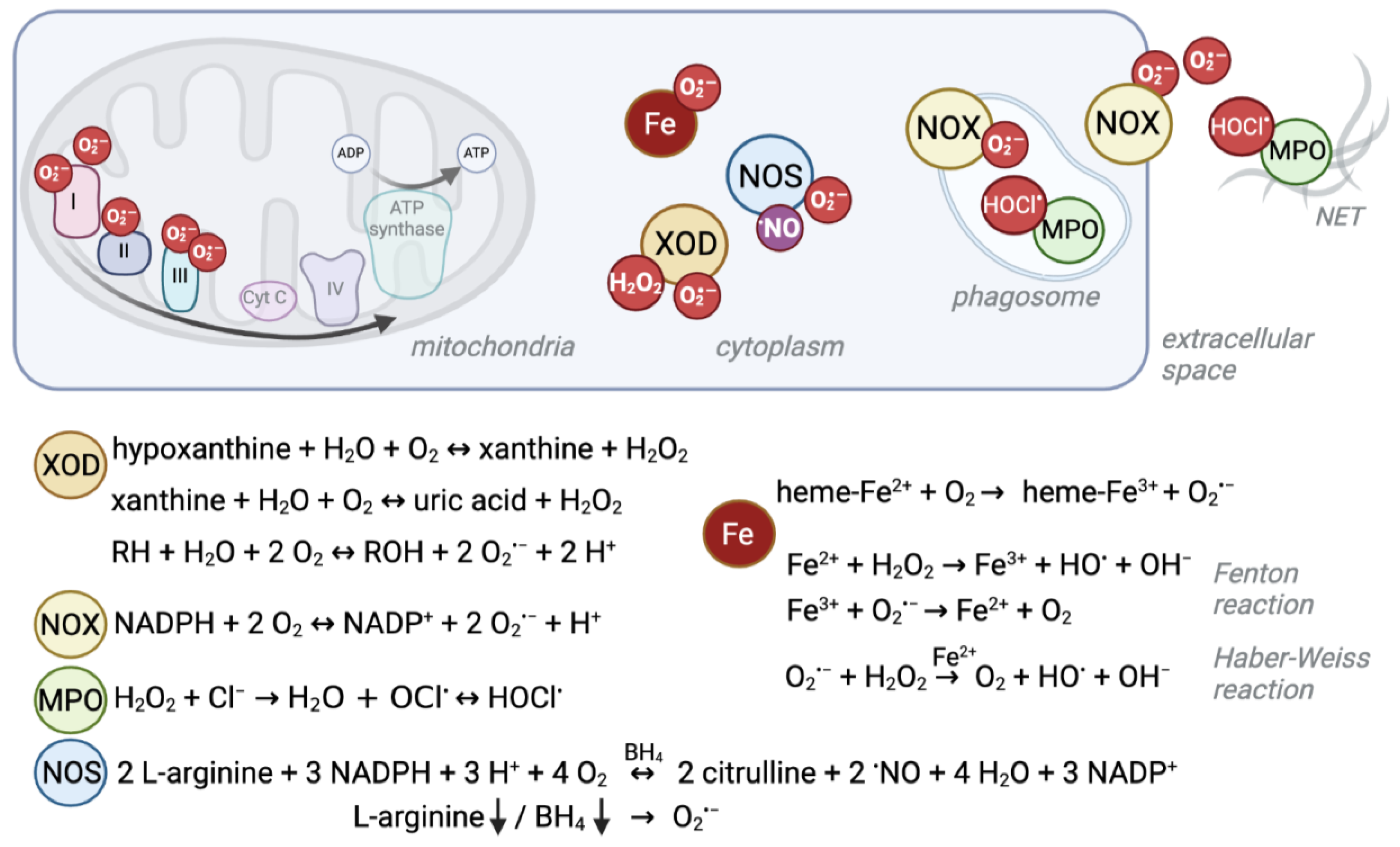 Biomolecules 14 00206 g001 Biomolecules 14 00206 g001