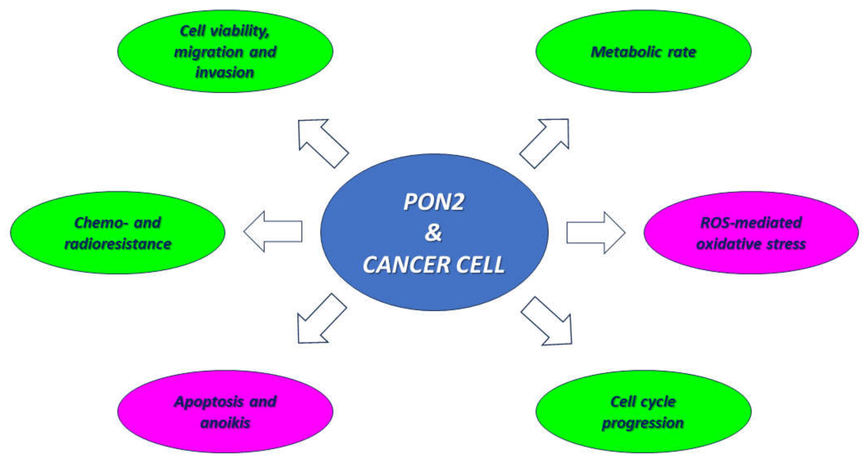 Biomolecules 14 00208 g002 Biomolecules 14 00208 g002