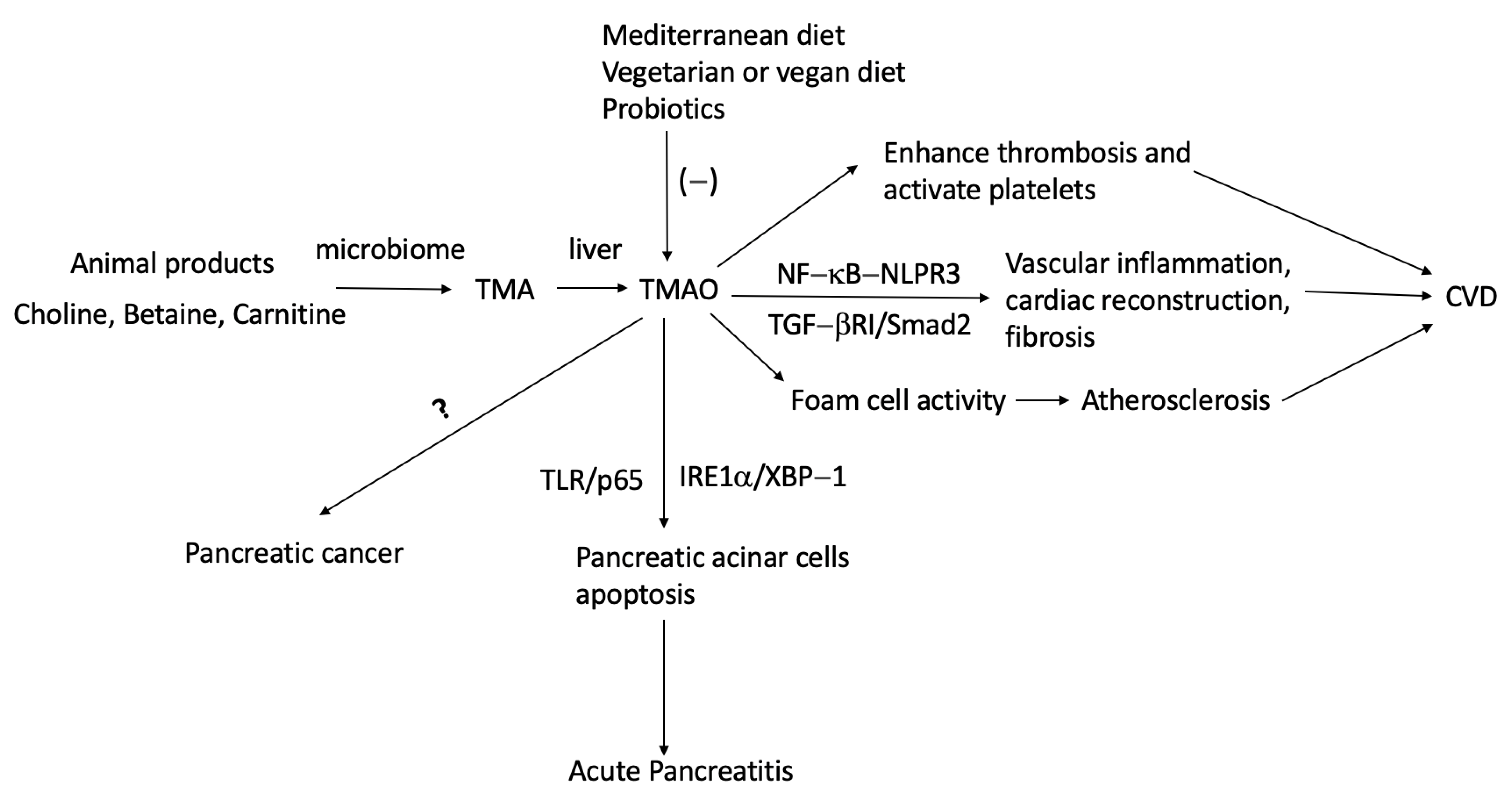 Biomolecules 14 00210 g001