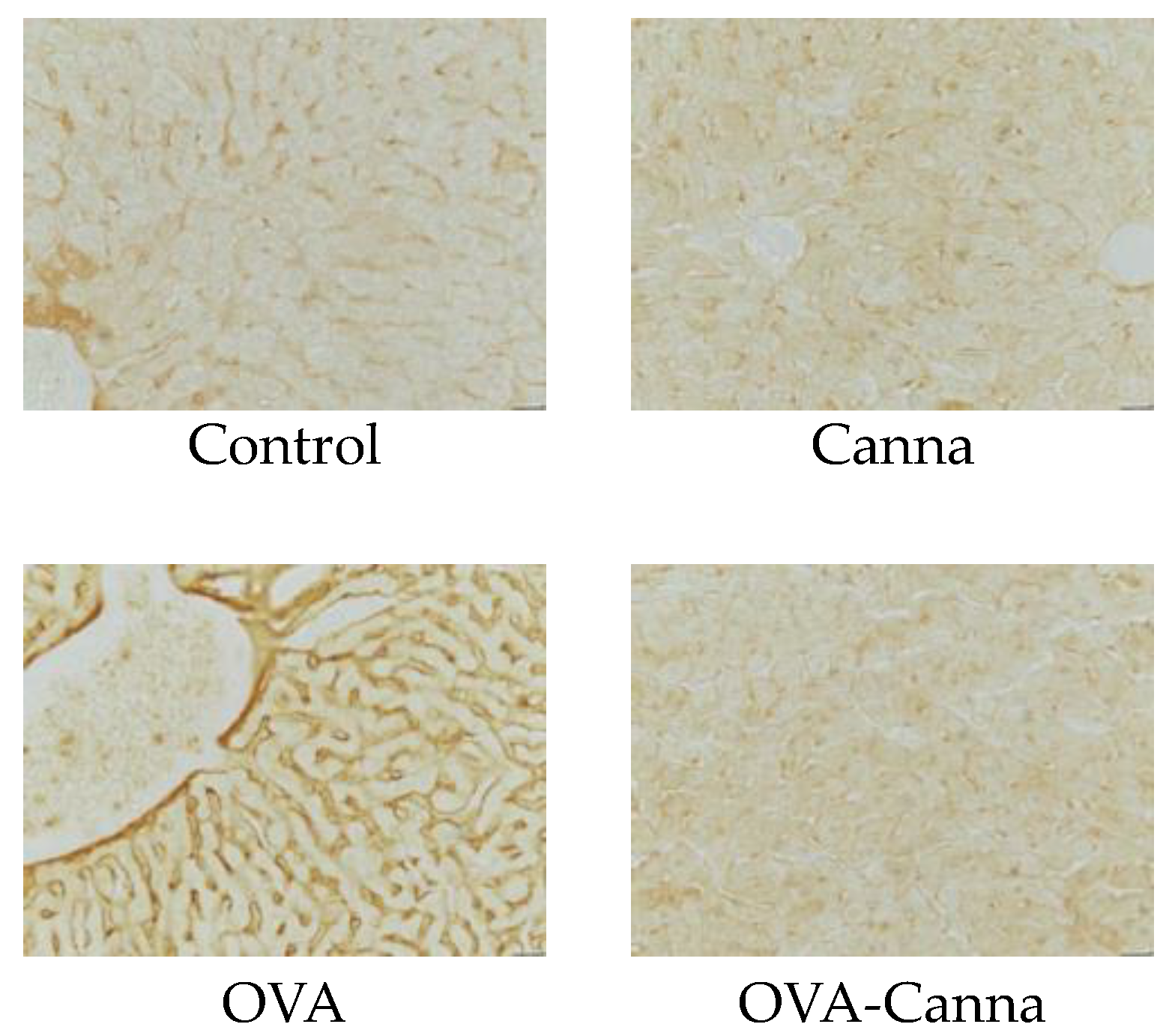 Biomolecules 14 00215 g002 Biomolecules 14 00215 g002