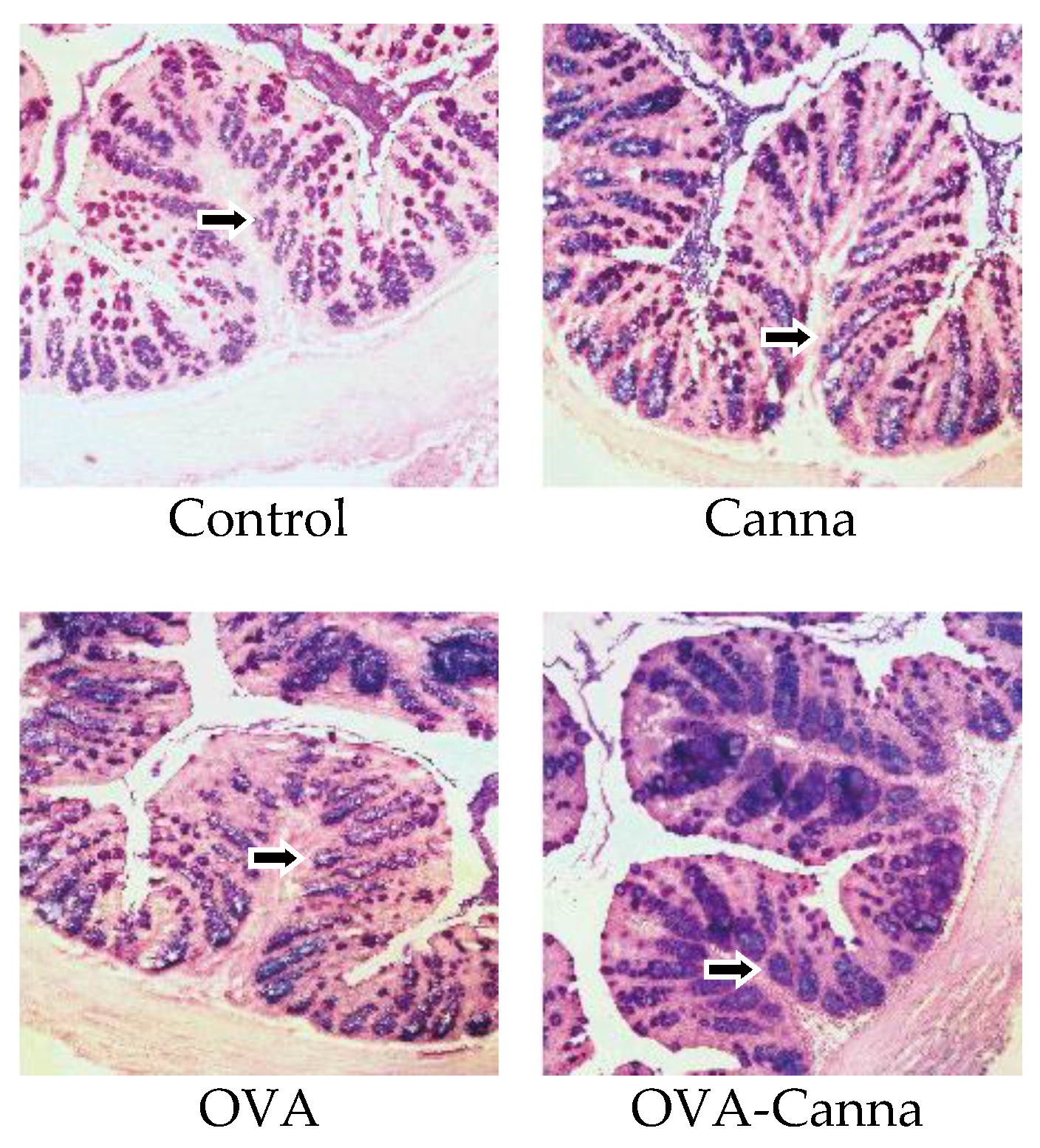 Biomolecules 14 00215 g004 Biomolecules 14 00215 g004