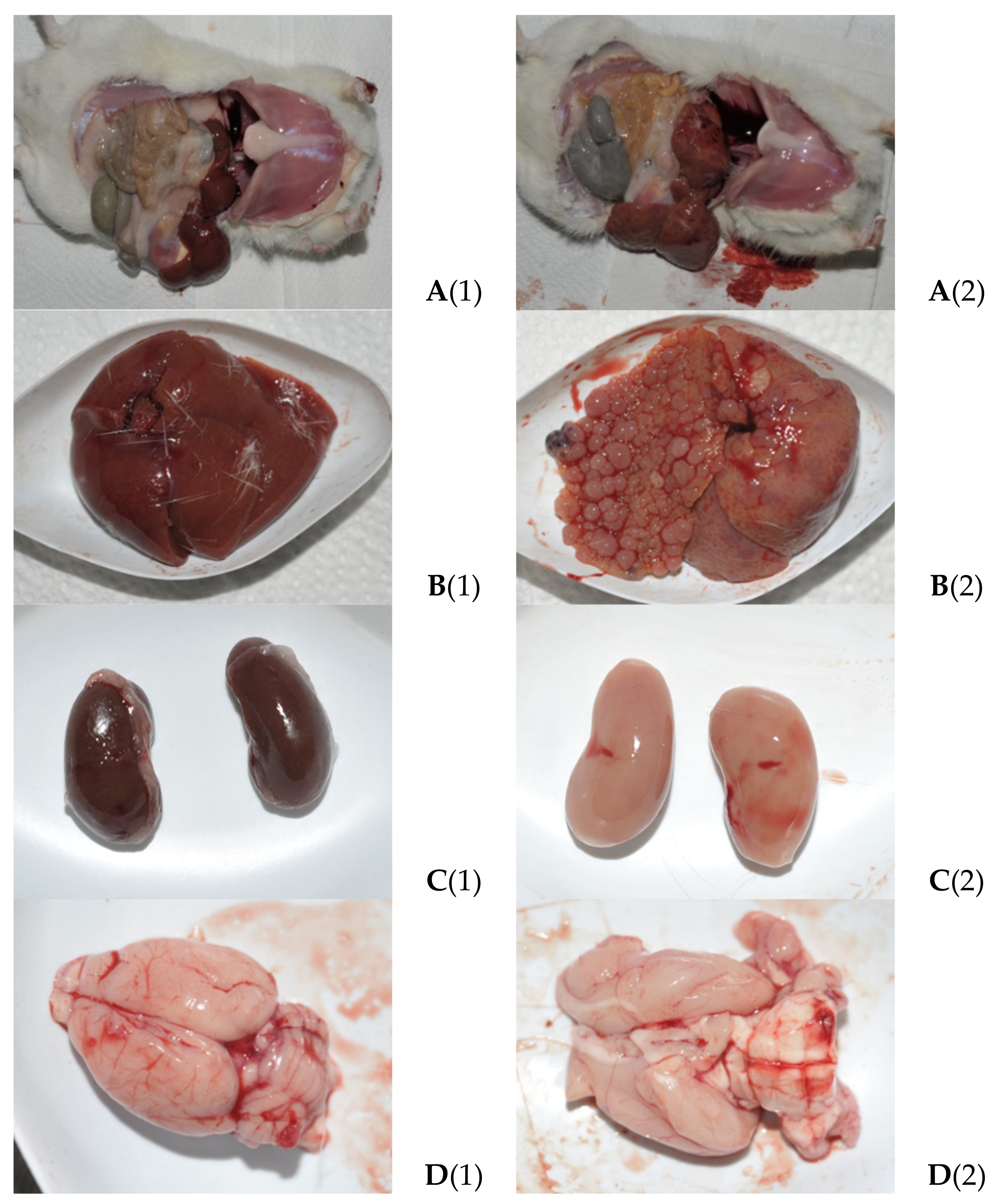 Biomolecules 14 00217 g001