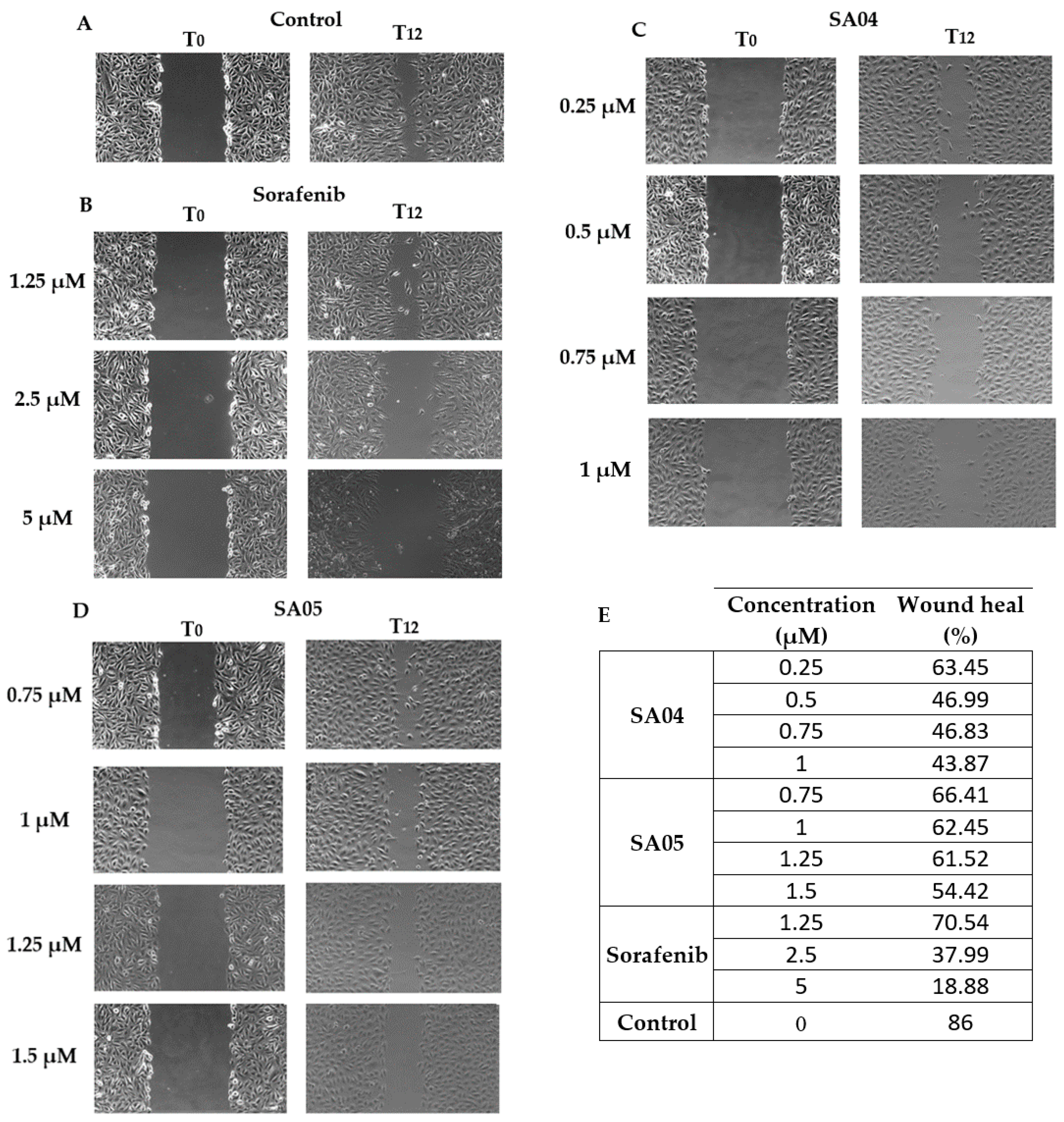 Biomolecules 14 00218 g010