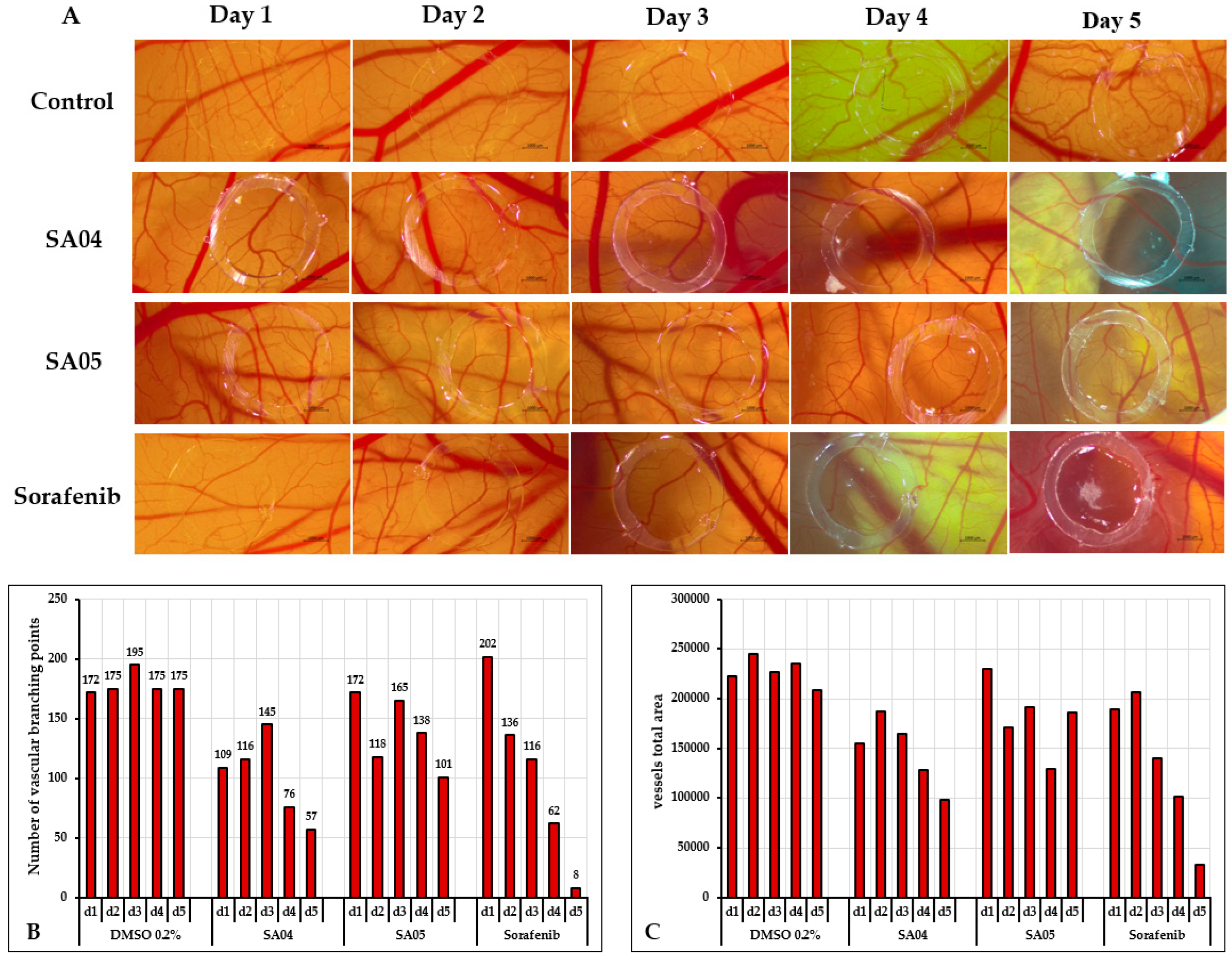 Biomolecules 14 00218 g011
