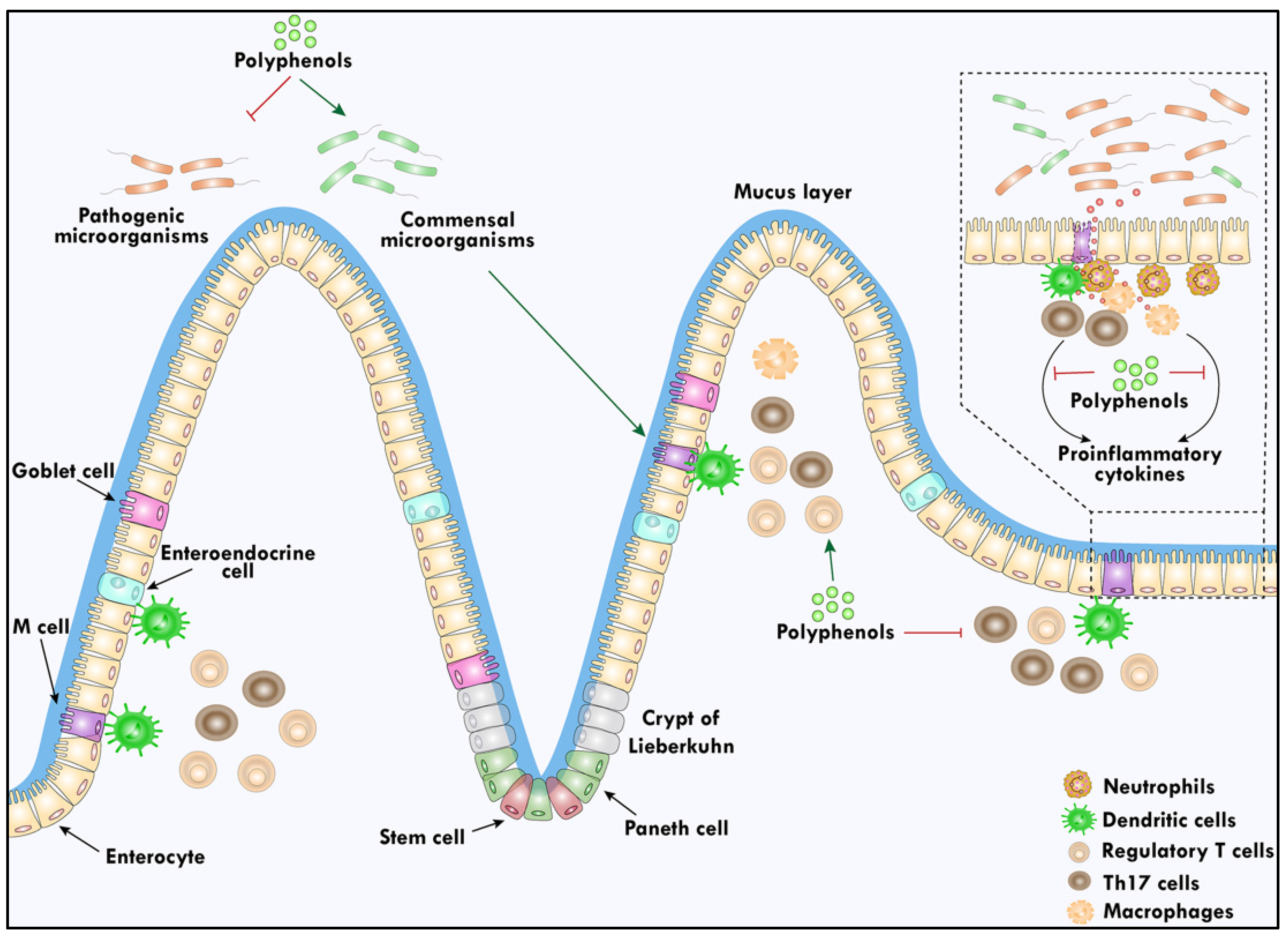 Biomolecules 14 00221 g002