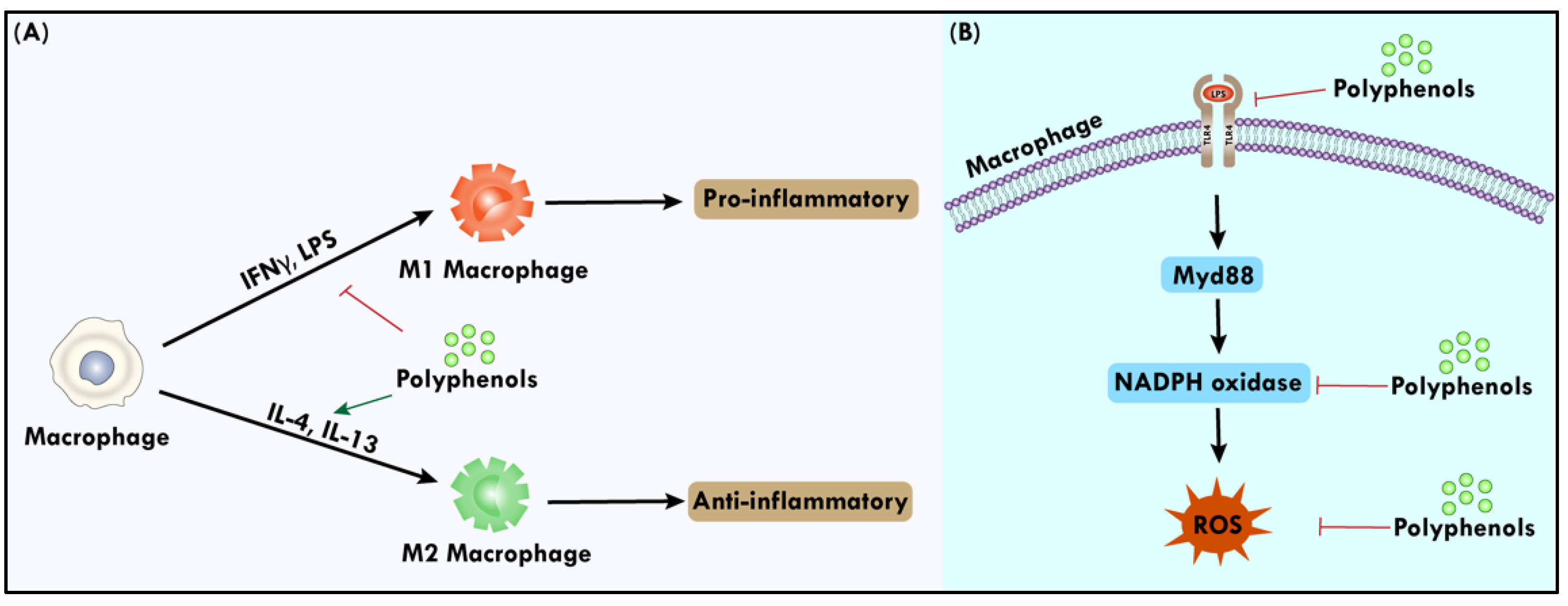 Biomolecules 14 00221 g003