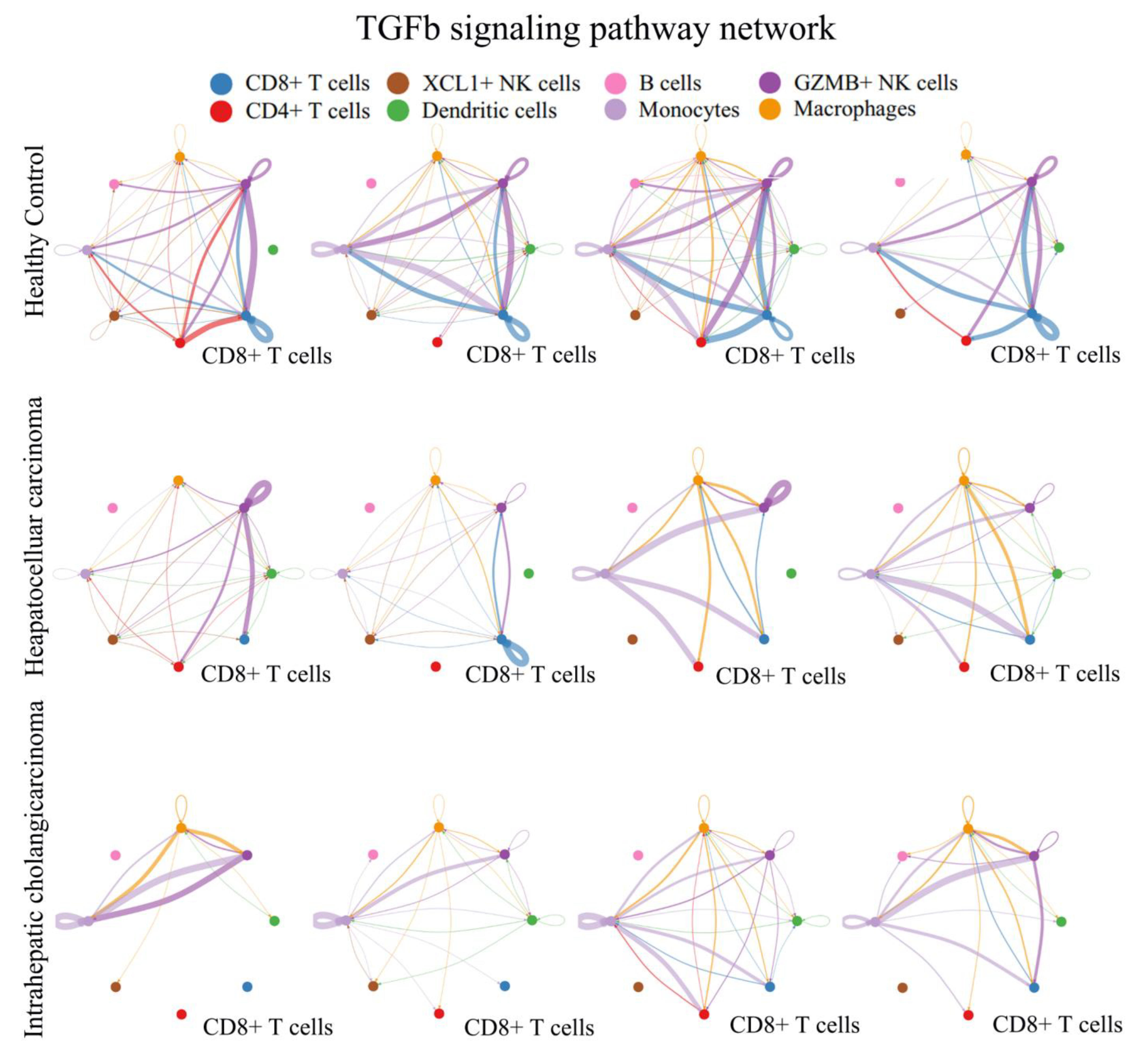 Biomolecules 14 00222 g005