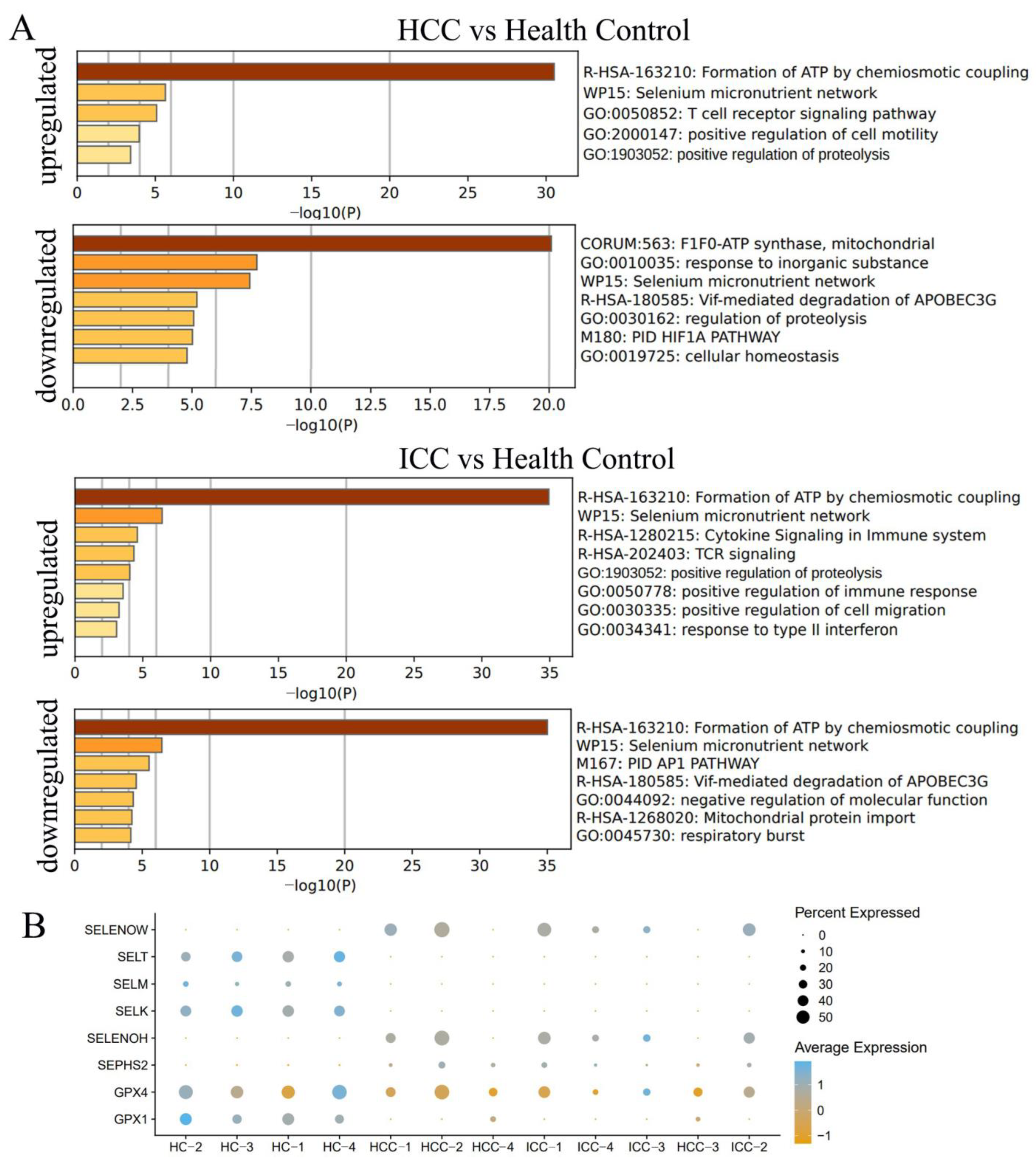 Biomolecules 14 00222 g007