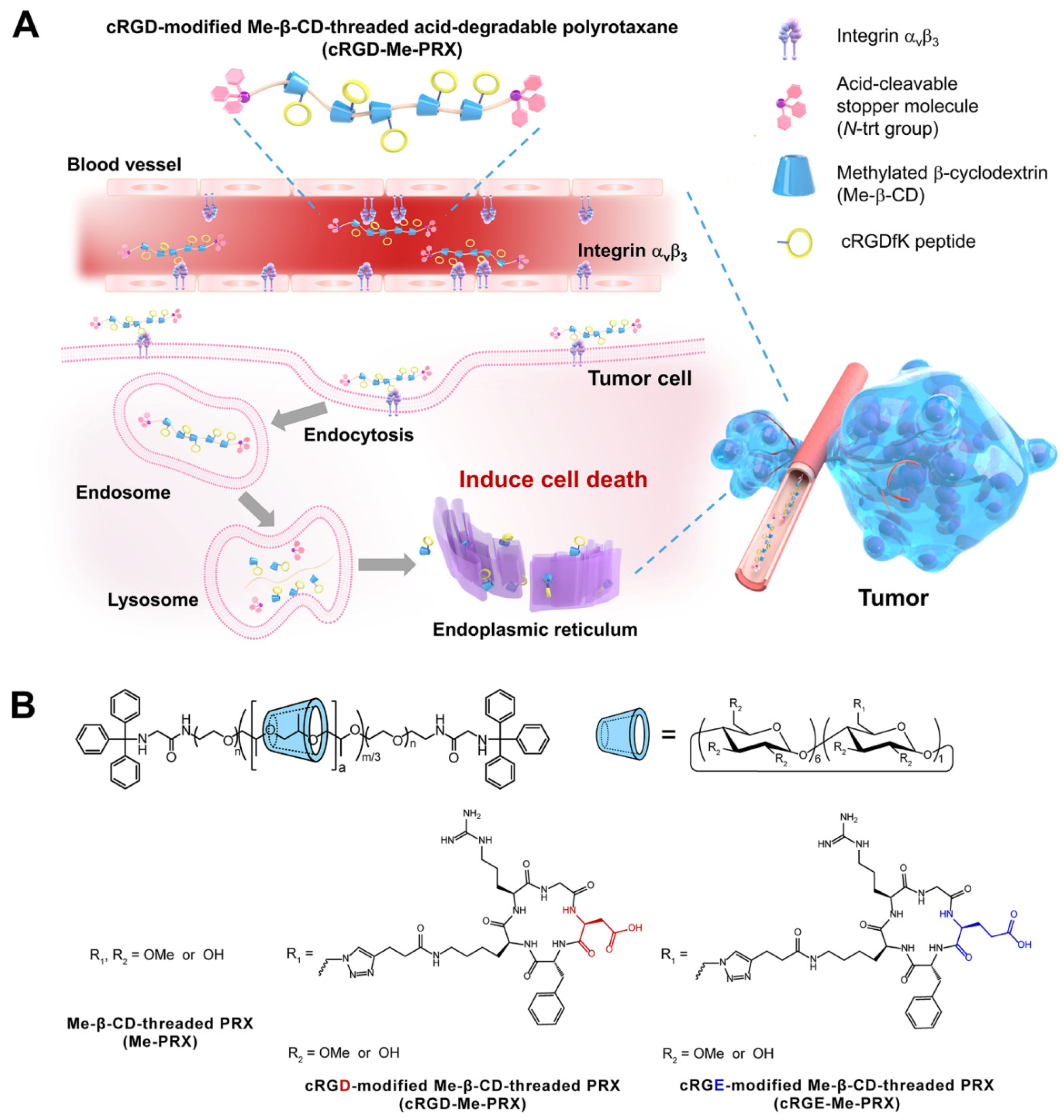 Biomolecules 14 00223 g001