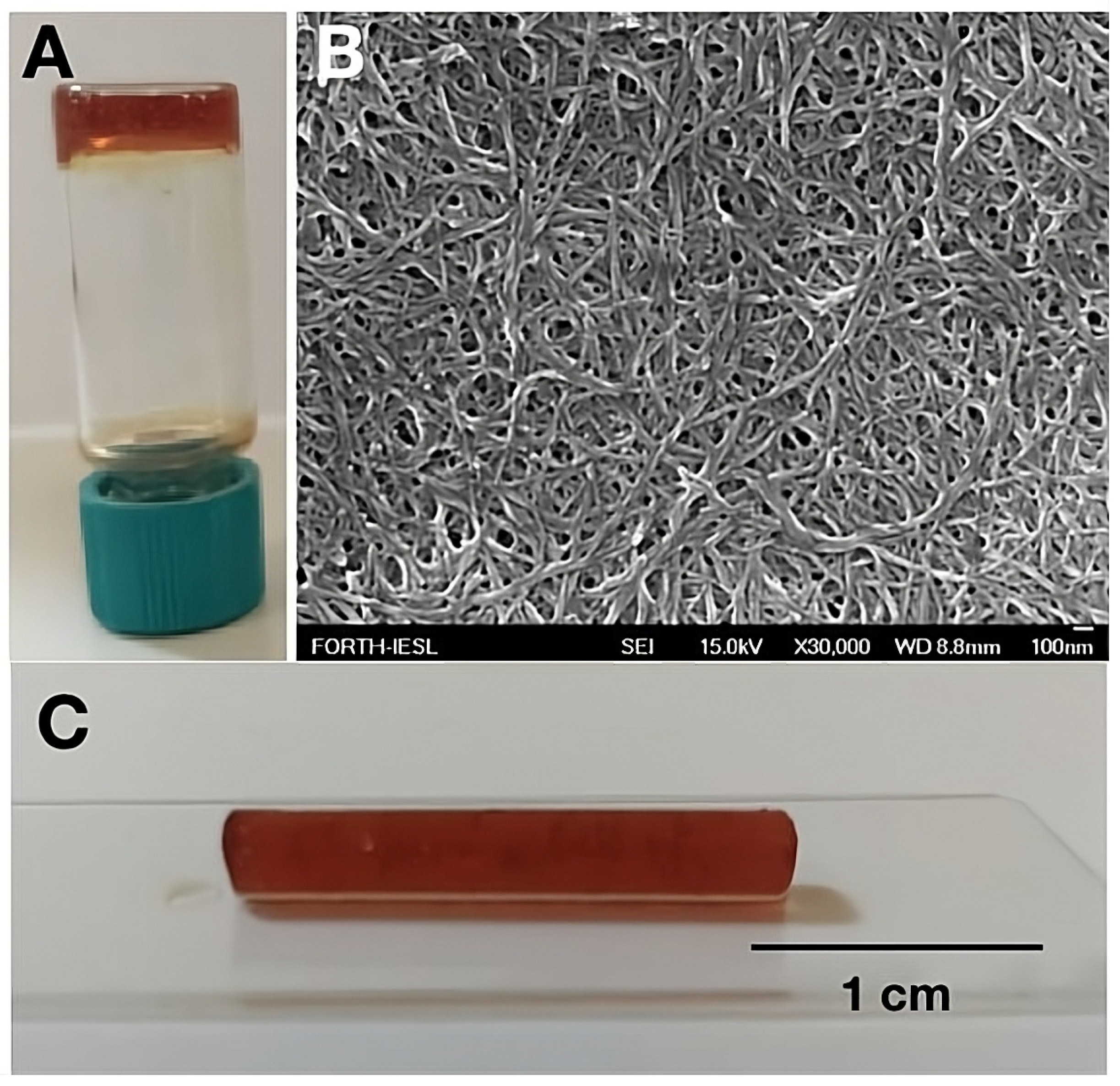 Biomolecules 14 00226 g002