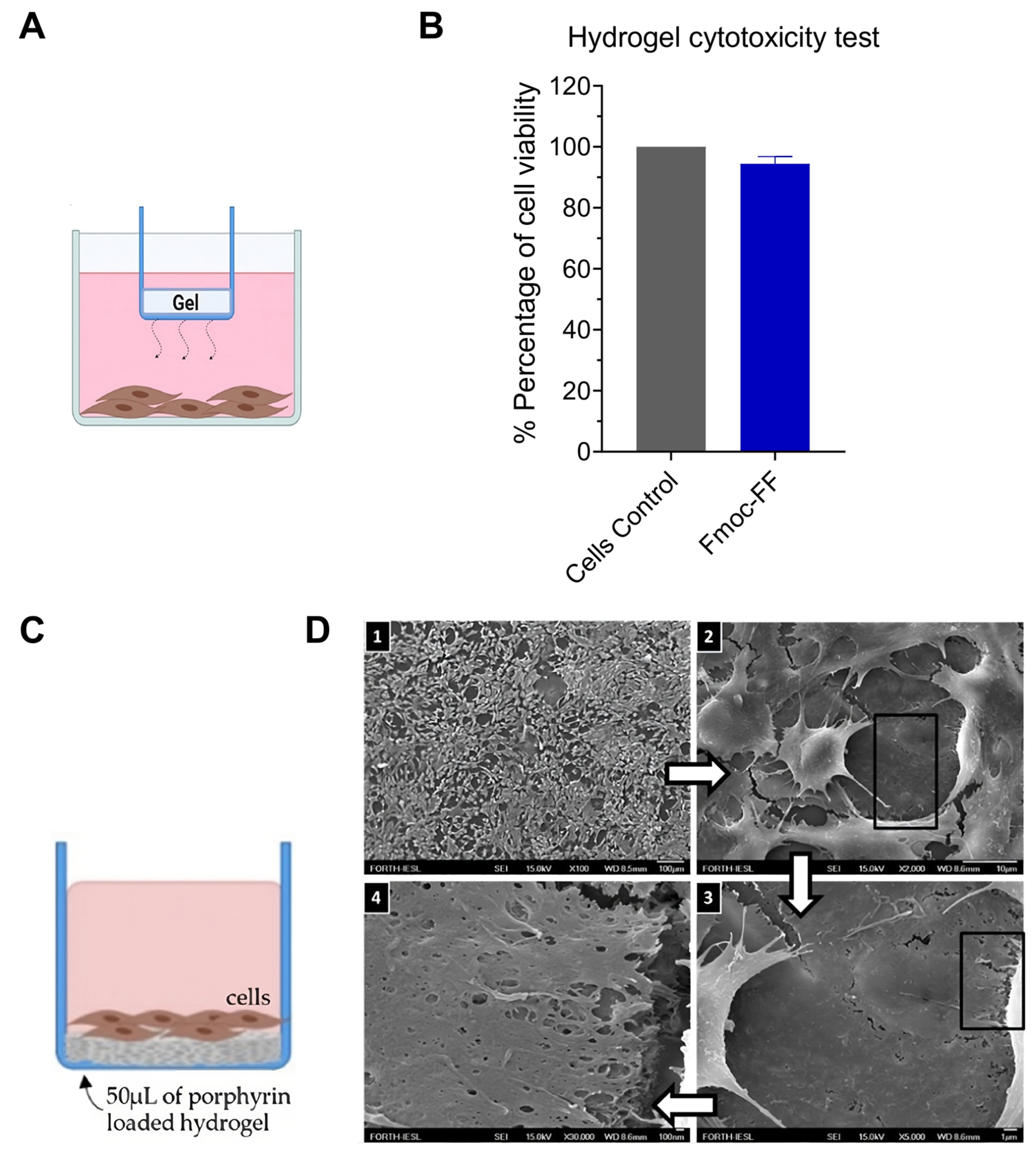 Biomolecules 14 00226 g006