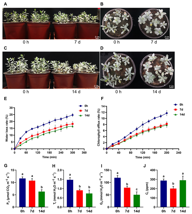 Biomolecules 14 00227 g001 Biomolecules 14 00227 g001