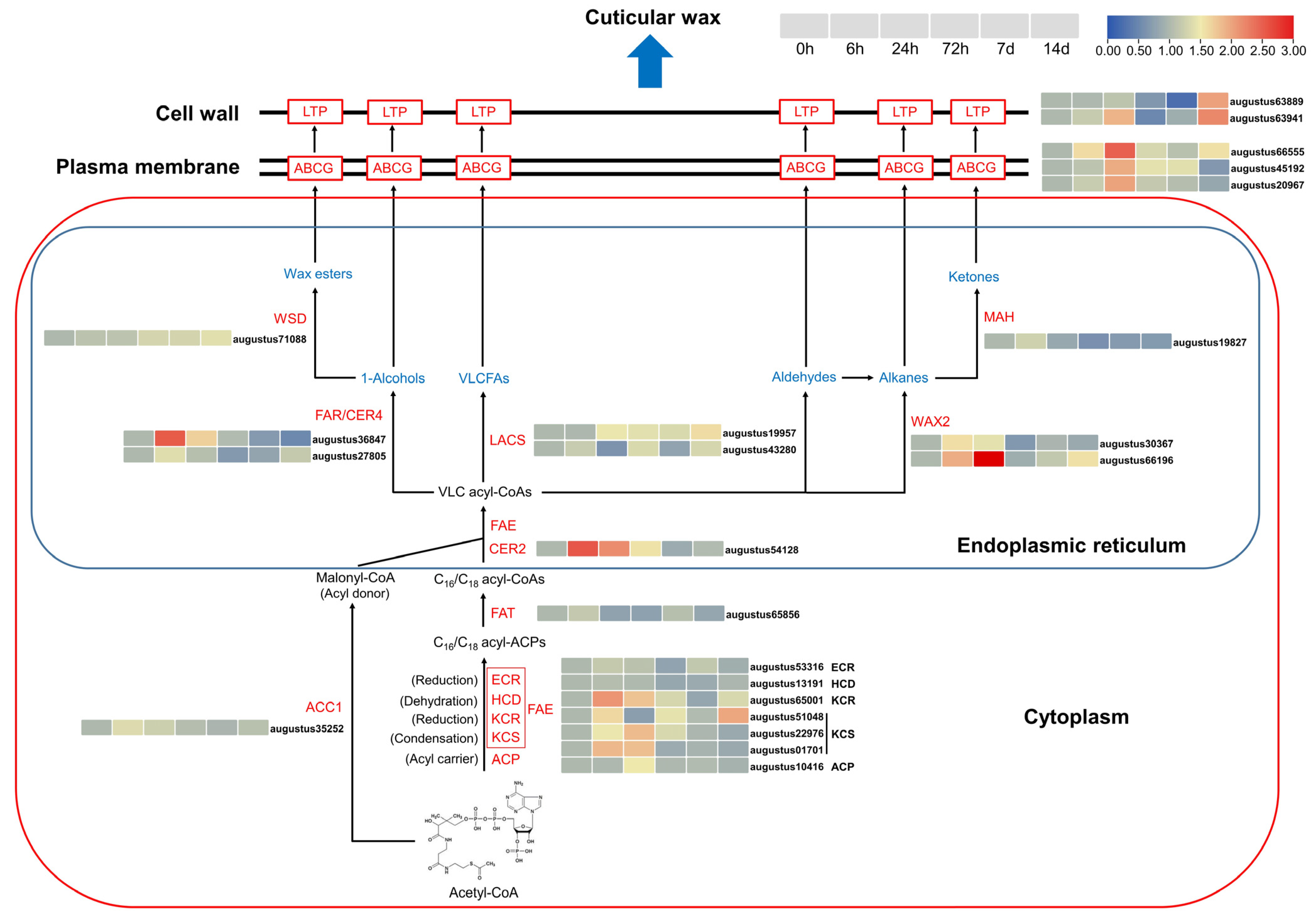 Biomolecules 14 00227 g004 Biomolecules 14 00227 g004