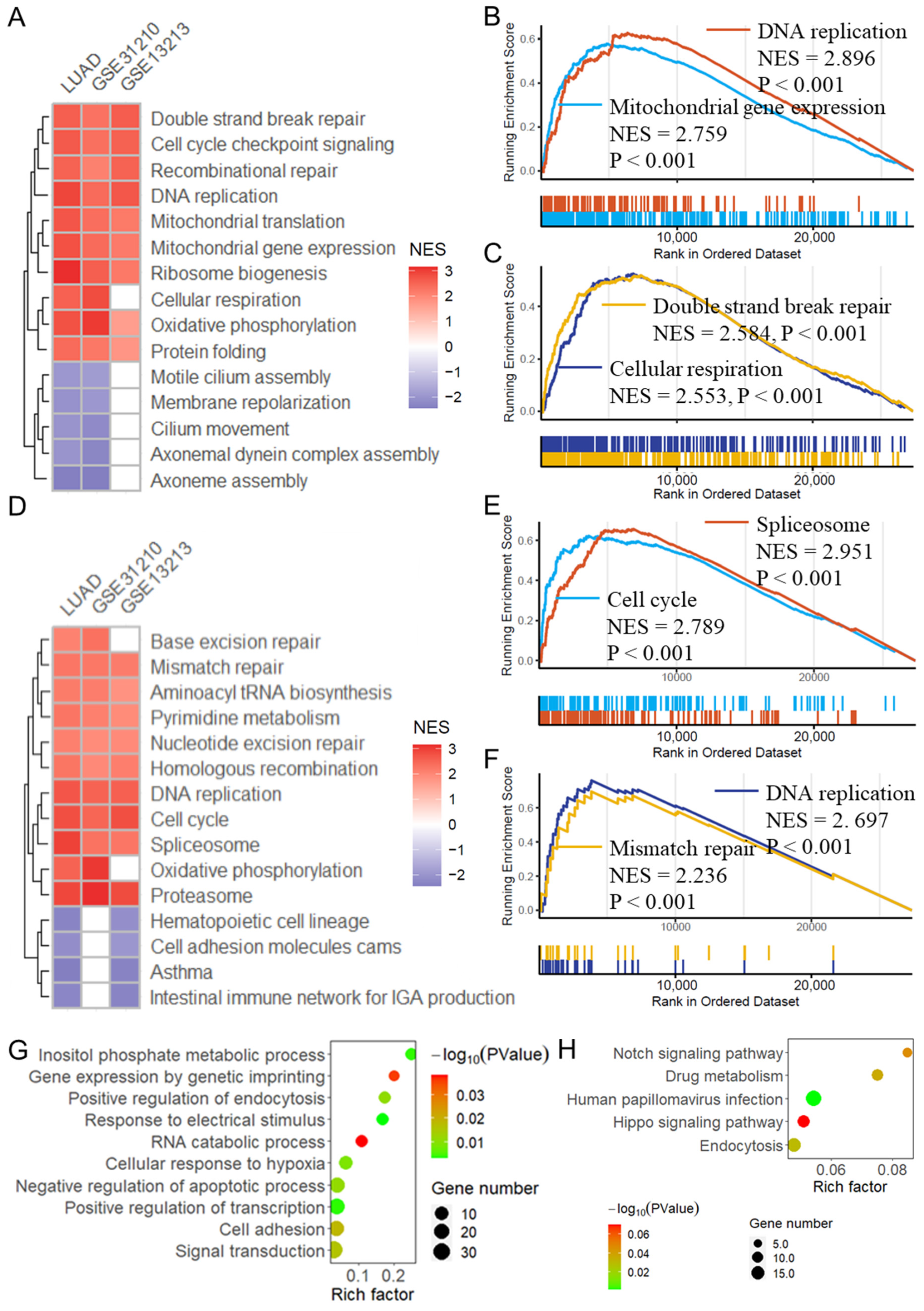 Biomolecules 14 00228 g007
