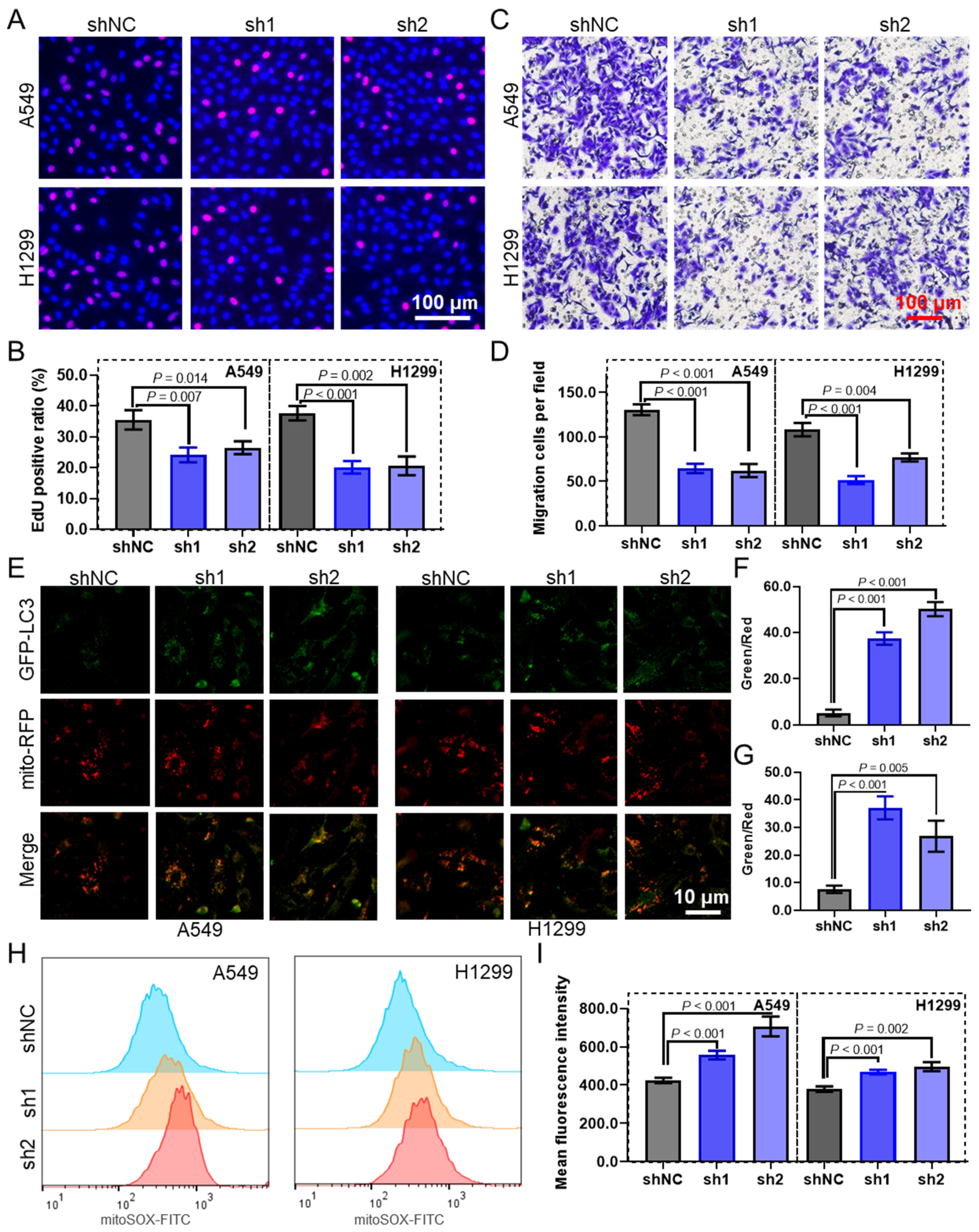 Biomolecules 14 00228 g009