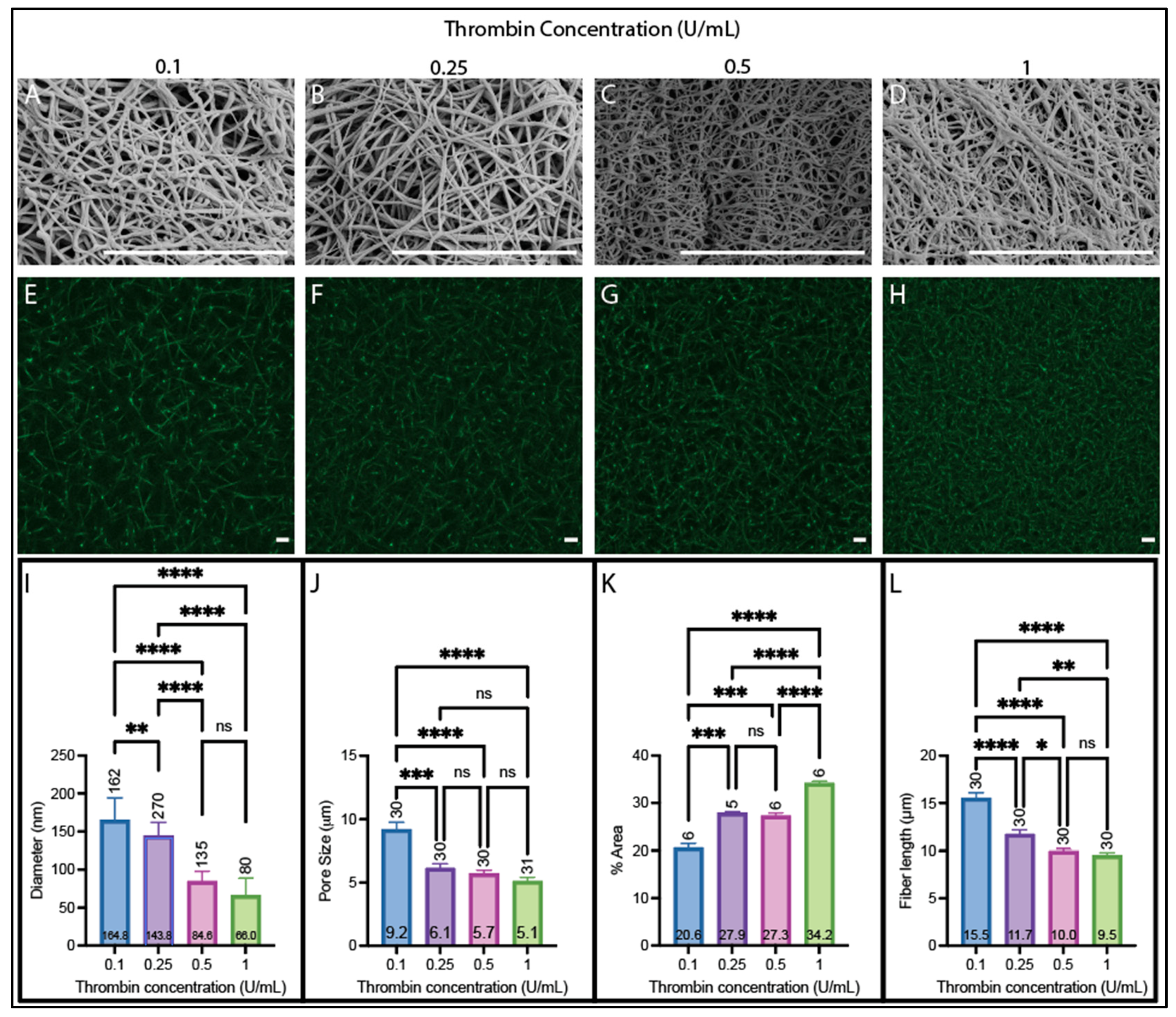 Biomolecules 14 00230 g005 Biomolecules 14 00230 g005