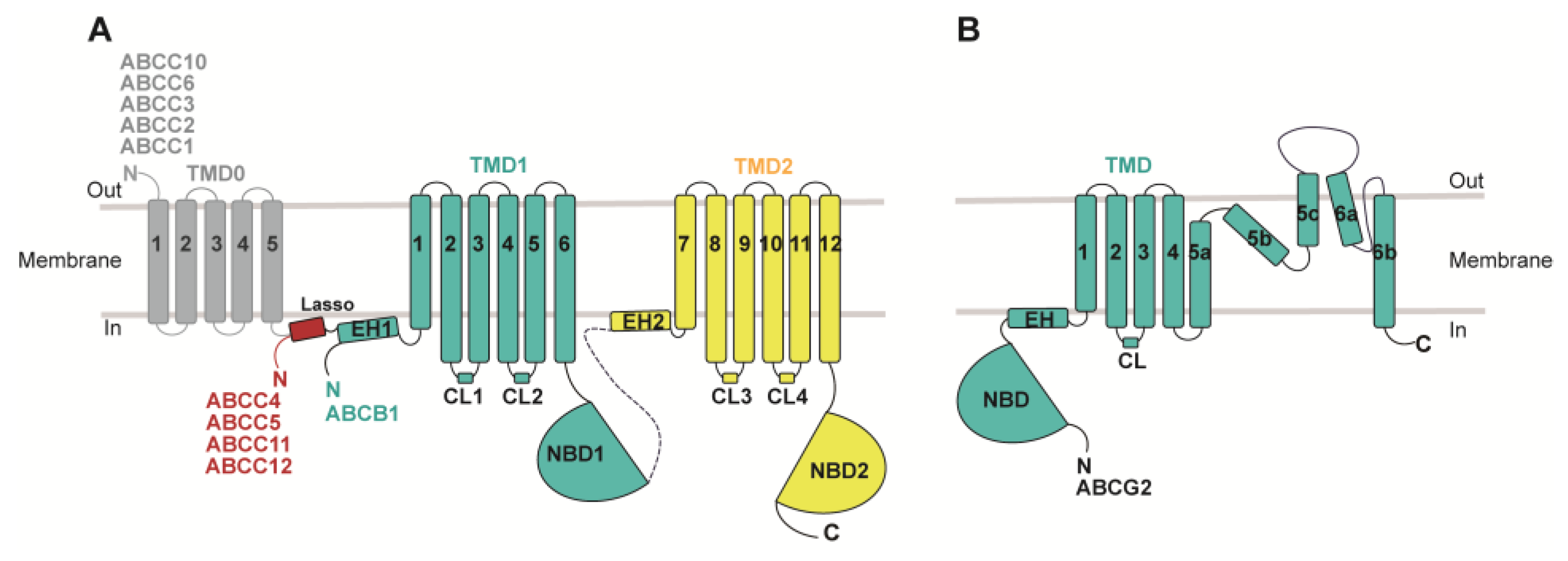 Biomolecules 14 00231 g001 Biomolecules 14 00231 g001