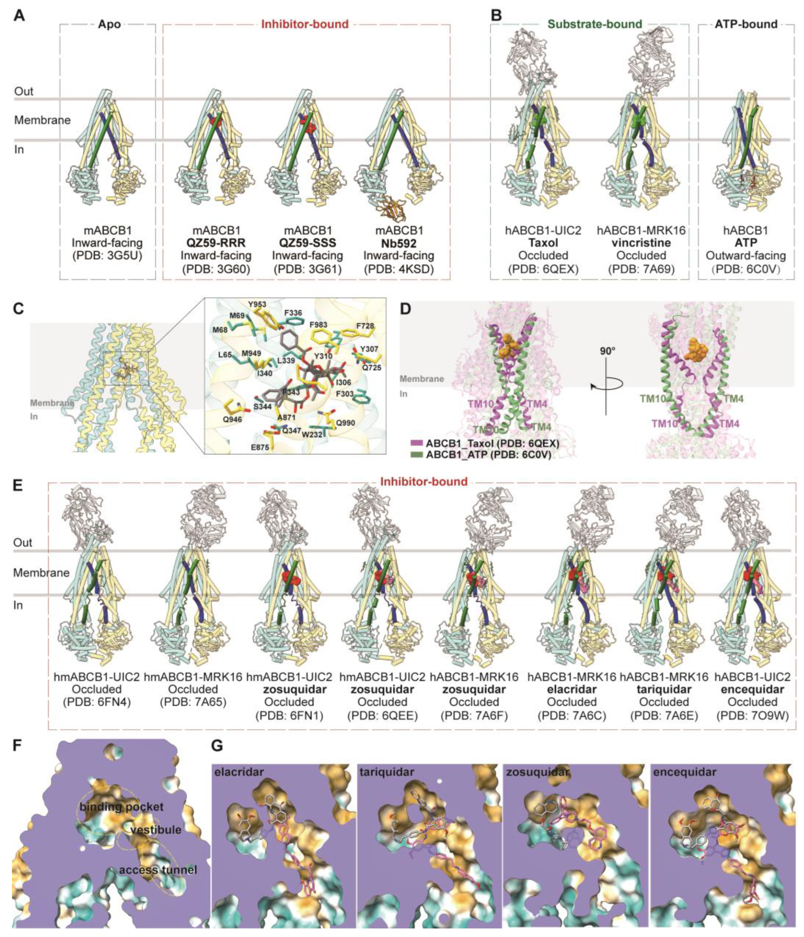 Biomolecules 14 00231 g002 Biomolecules 14 00231 g002