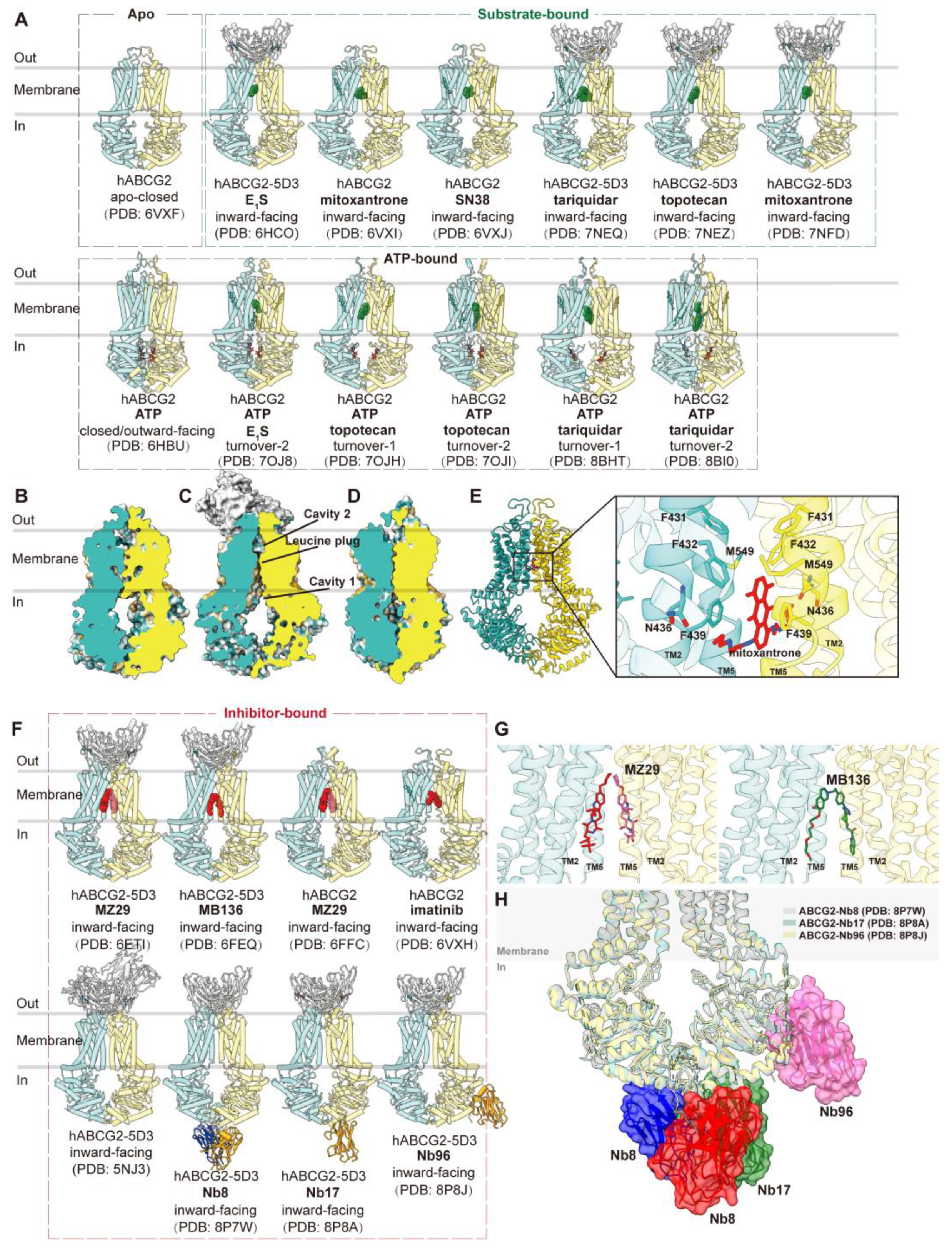 Biomolecules 14 00231 g003 Biomolecules 14 00231 g003